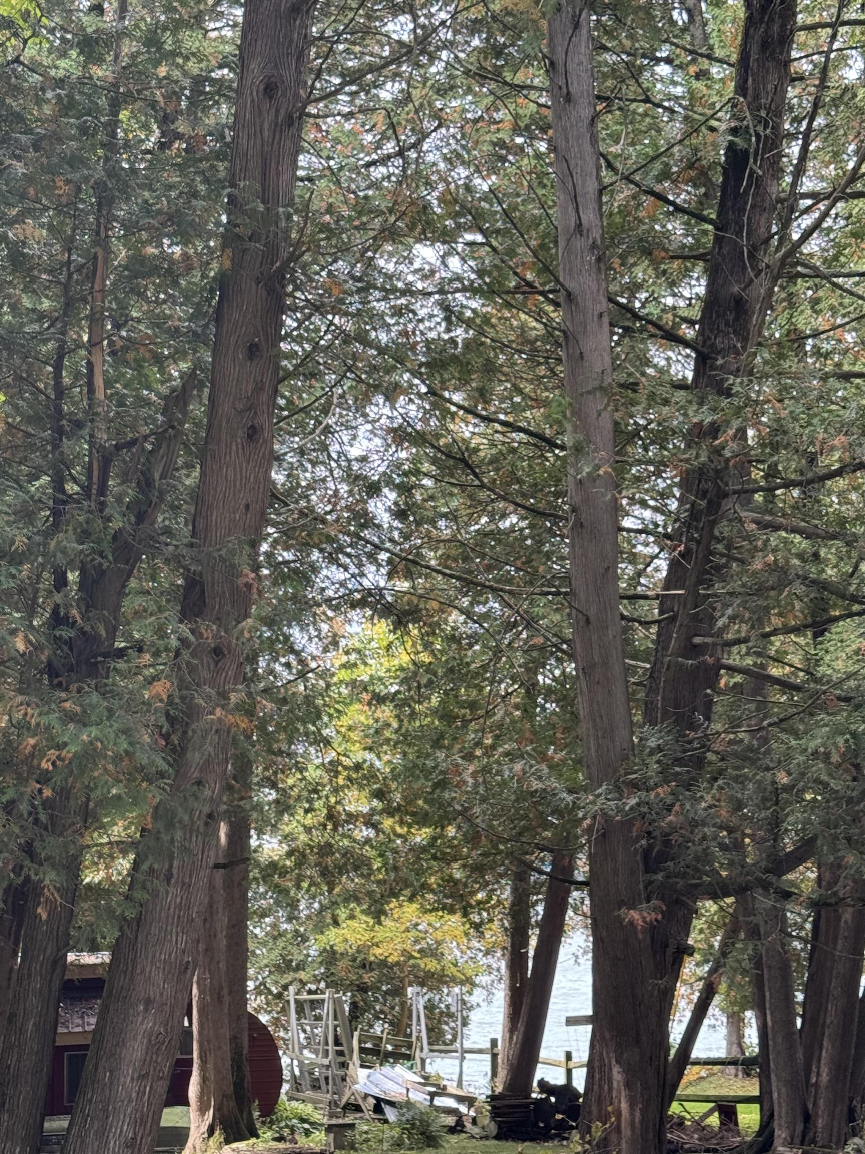 MLS #5060520 image #4