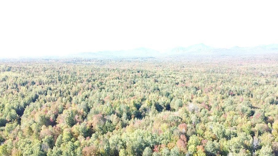 Homes for sale in Troy, VT | 00 North Jay Rd, Troy, VT 05859 | MLS# 5060521