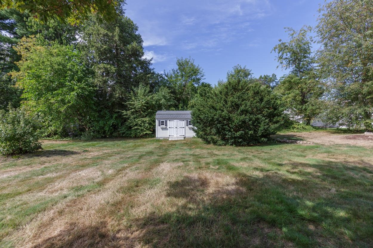 Large, Level Backyard 24052428