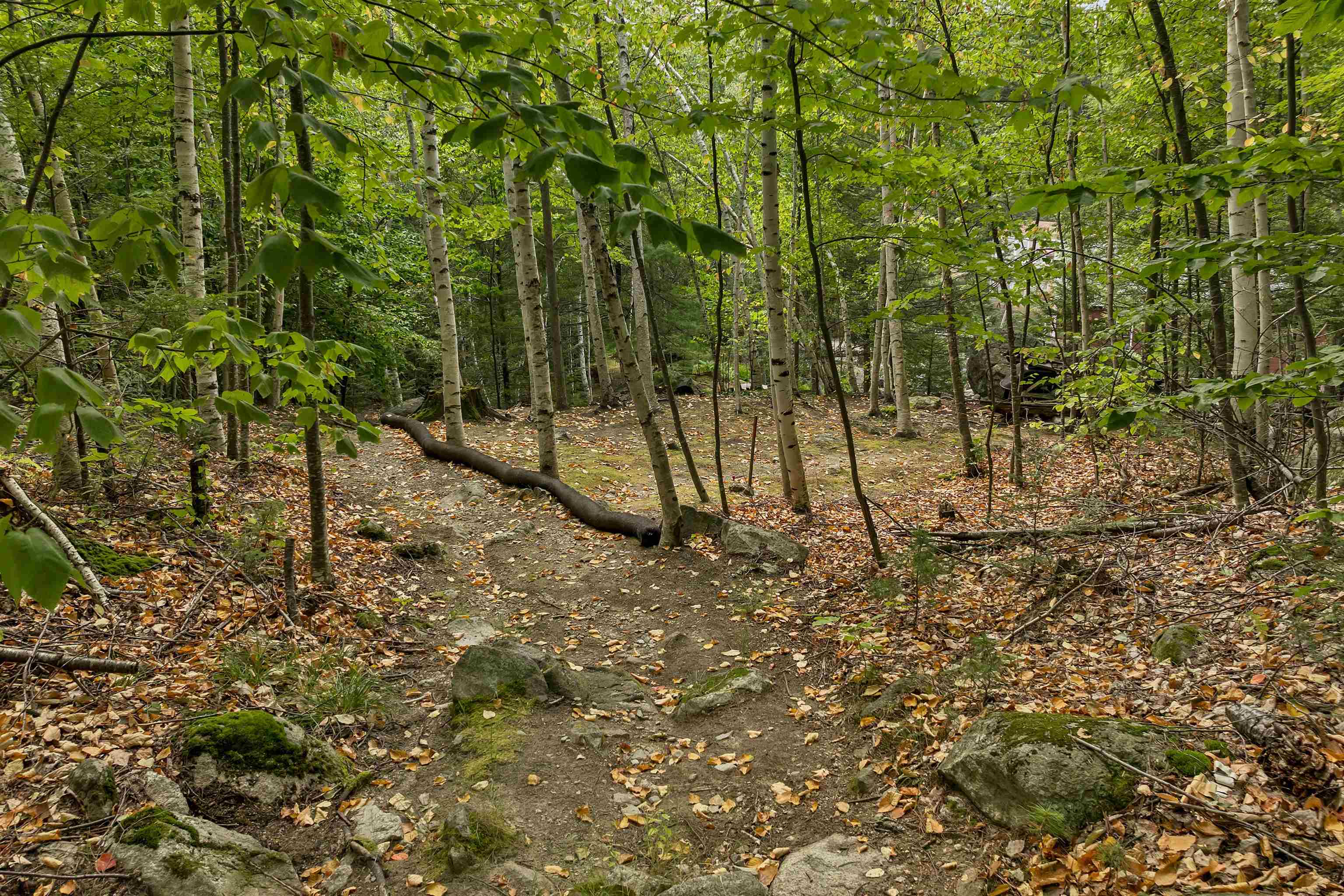 Path to Beach