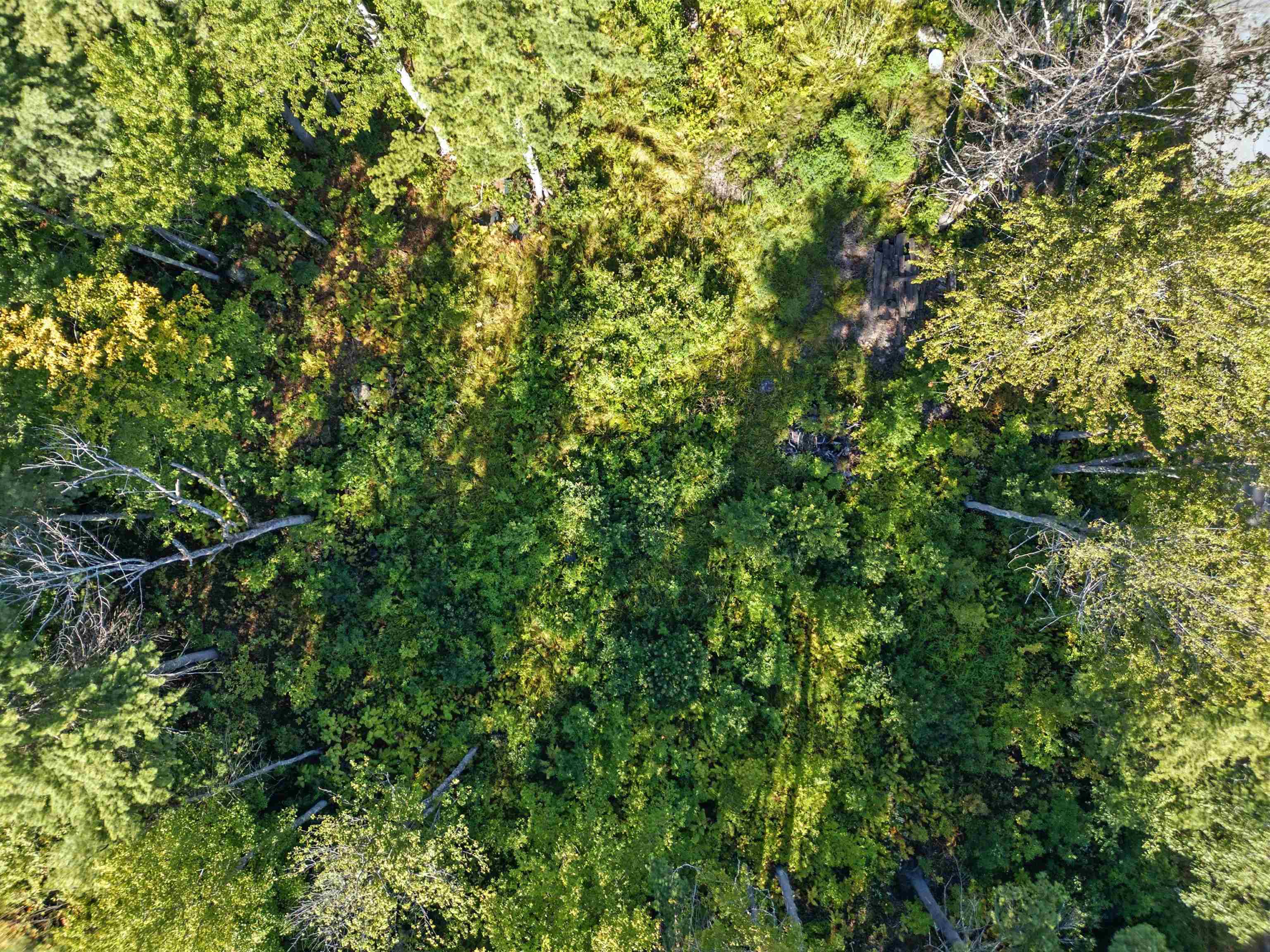 MLS #5060708 image #1