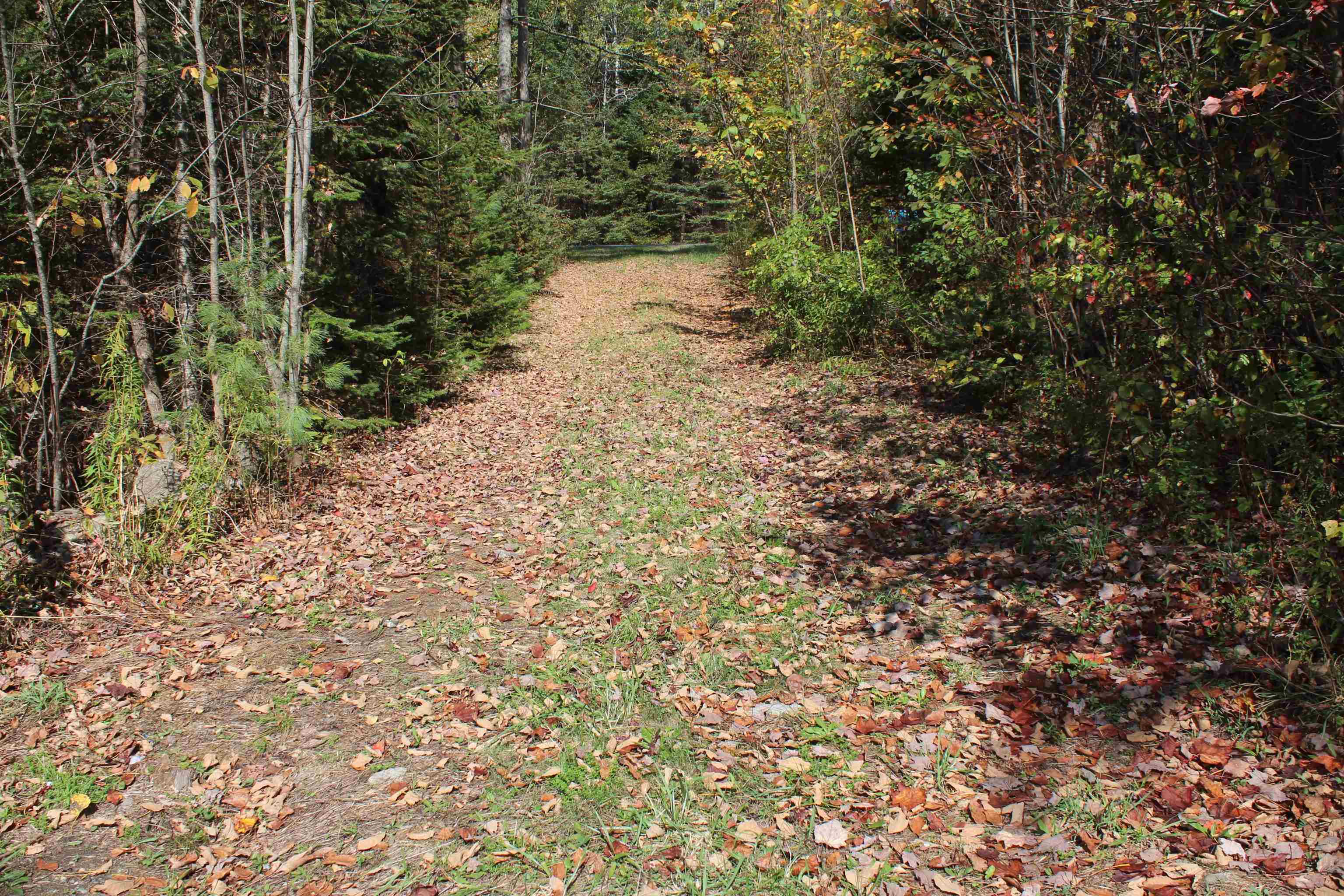 Homes for sale in Concord, VT | 00 Miles Pond Rd, Concord, VT 05824 | MLS# 5060887