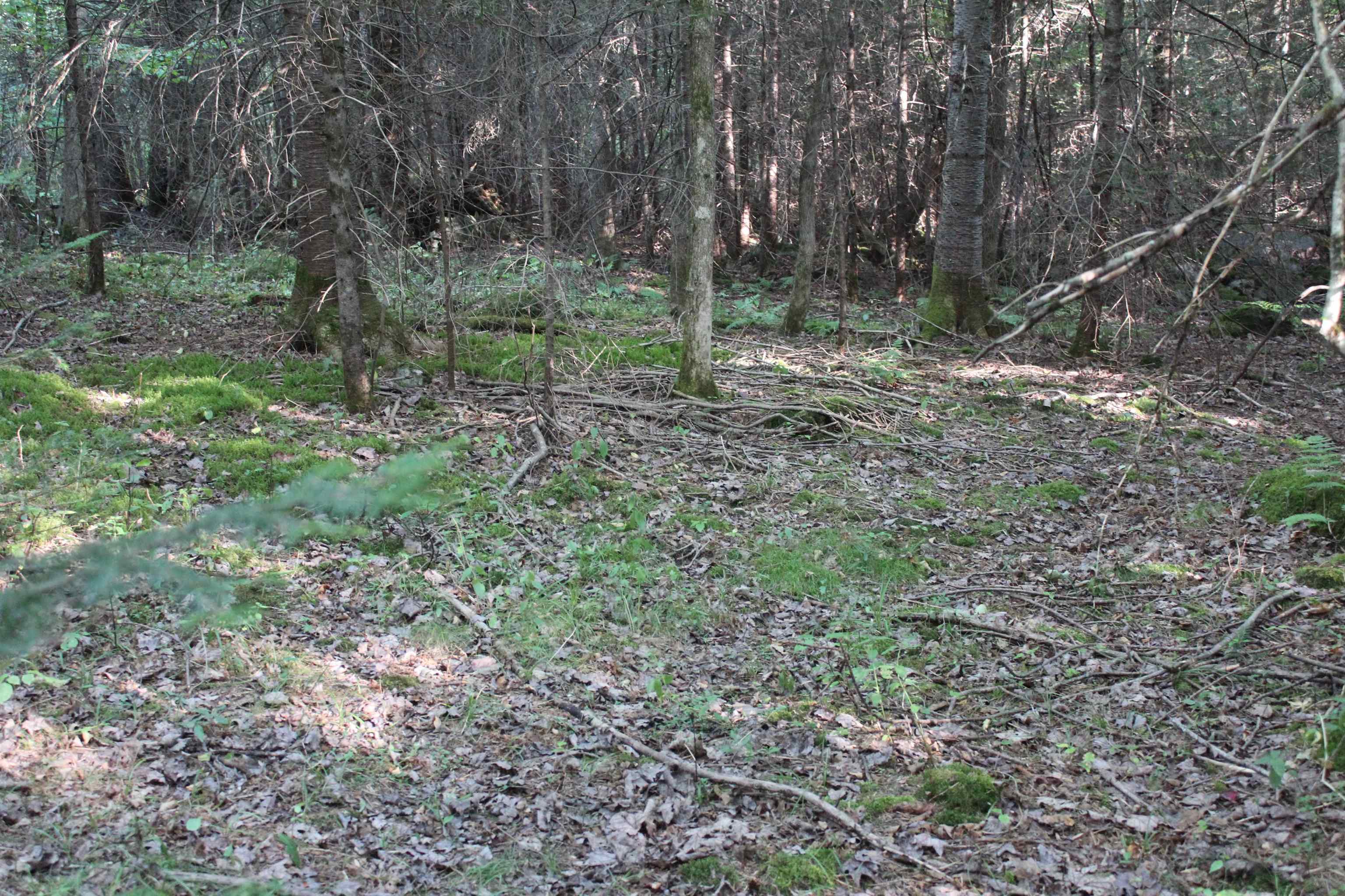 Homes for sale in Concord, VT | 00 Miles Pond Rd, Concord, VT 05824 | MLS# 5060887