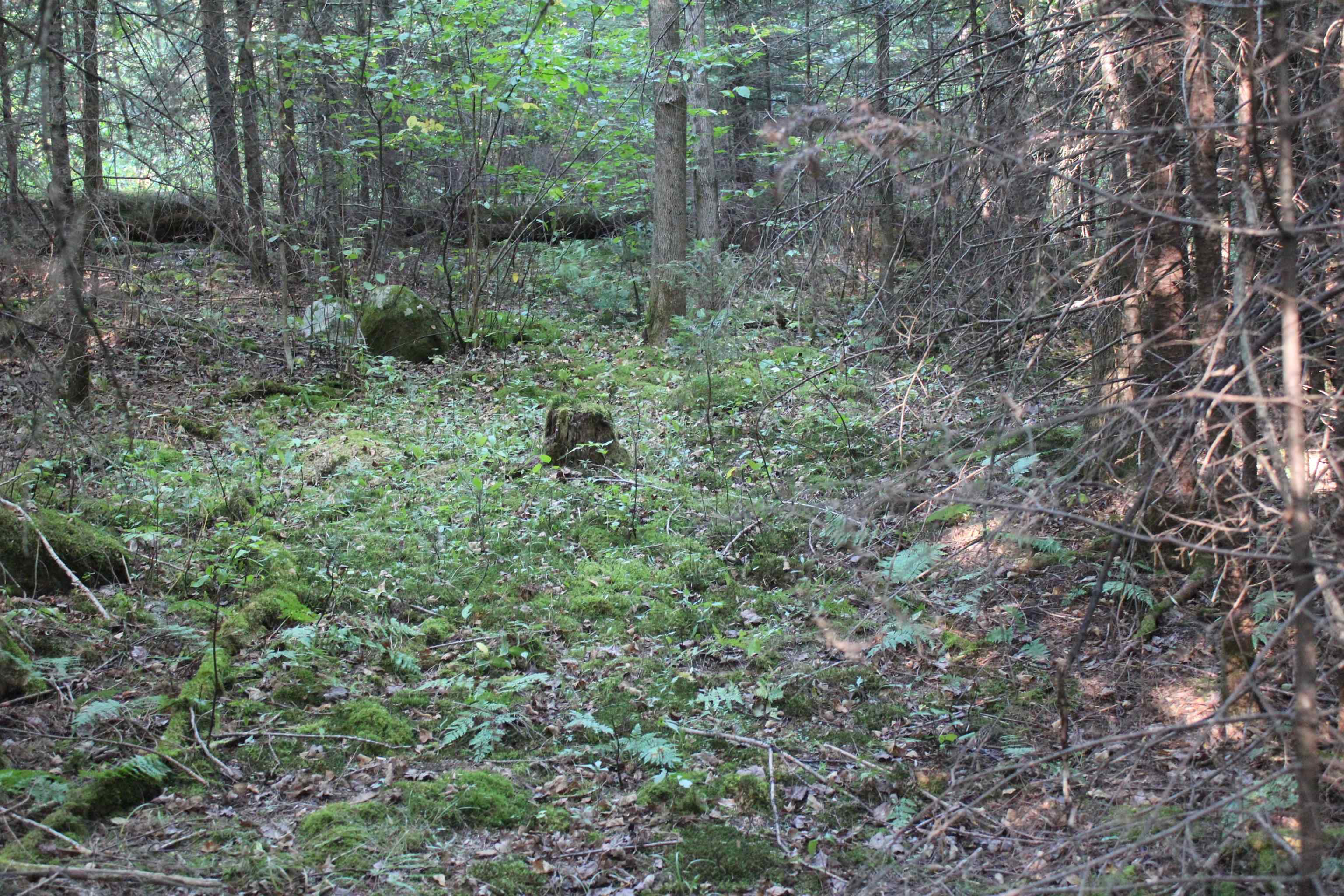 Homes for sale in Concord, VT | 00 Miles Pond Rd, Concord, VT 05824 | MLS# 5060887