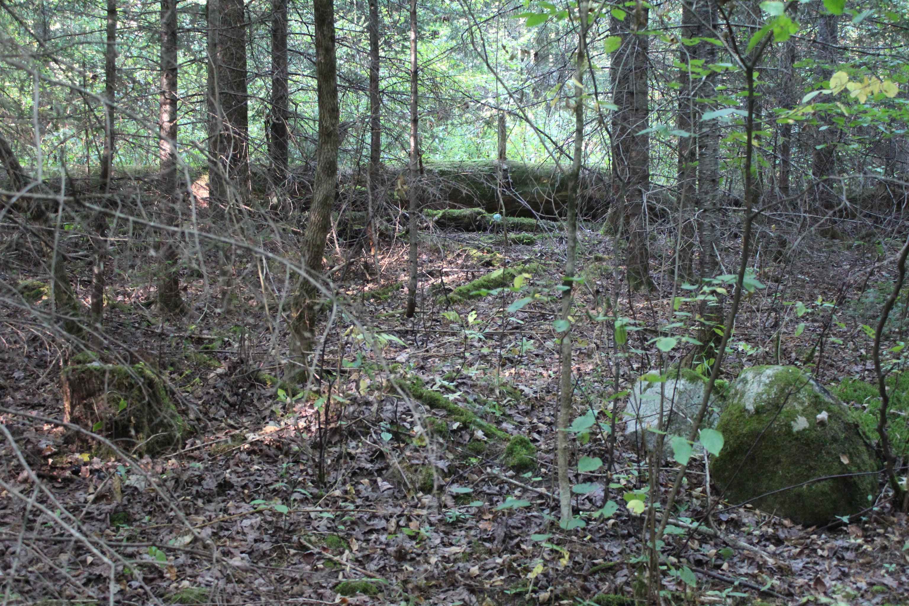 Homes for sale in Concord, VT | 00 Miles Pond Rd, Concord, VT 05824 | MLS# 5060887