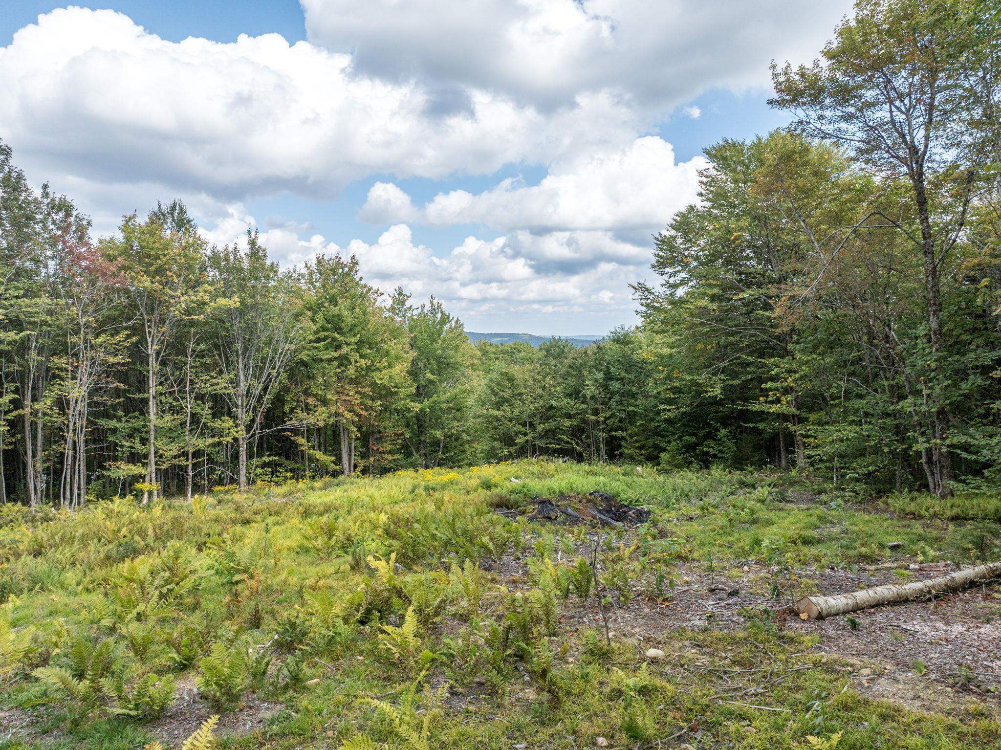 Searsburg VT Land for sale $54,900 | 0.83 Acres  | Price Per Acre $0 