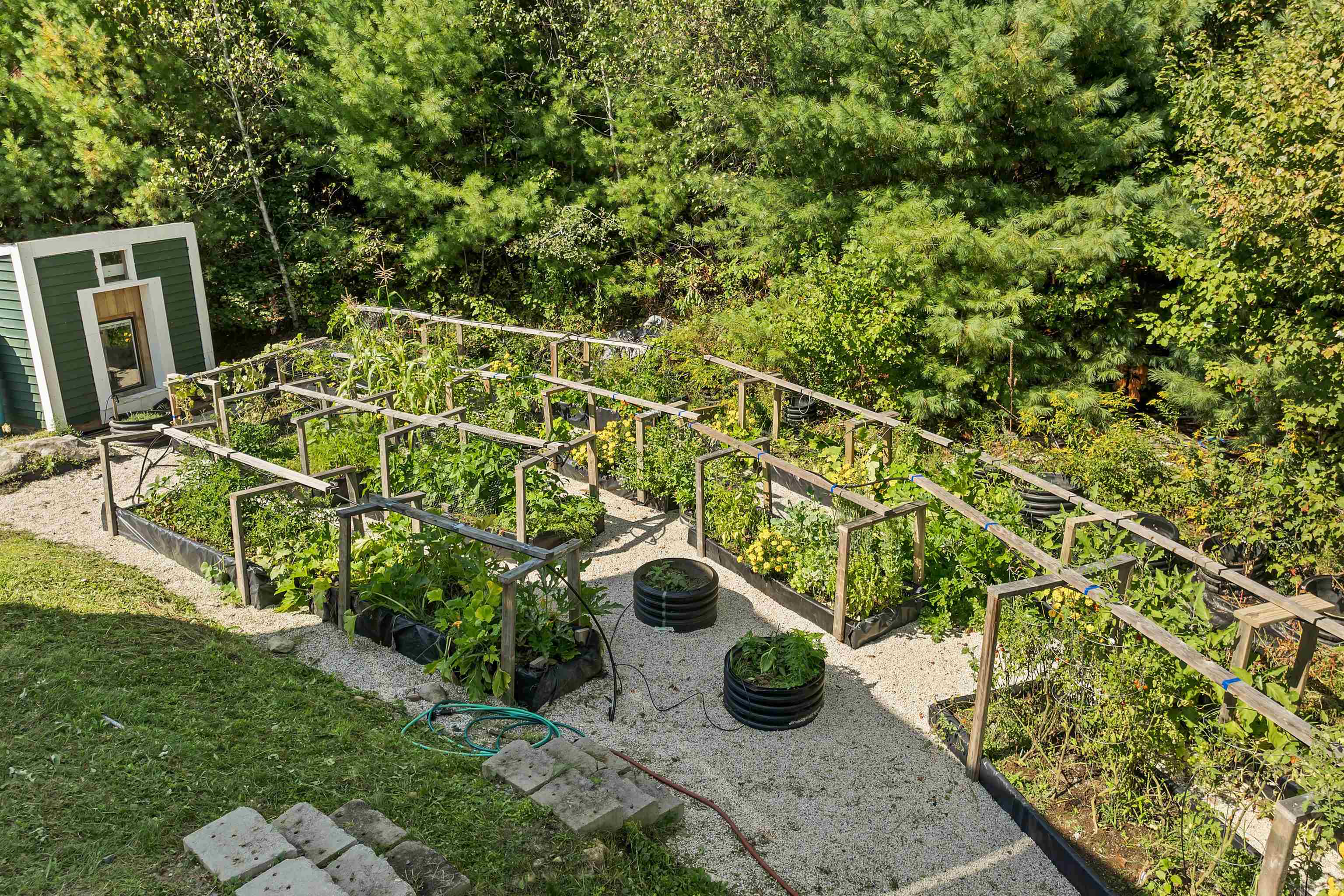 Vegetable Gardens Living off the Land