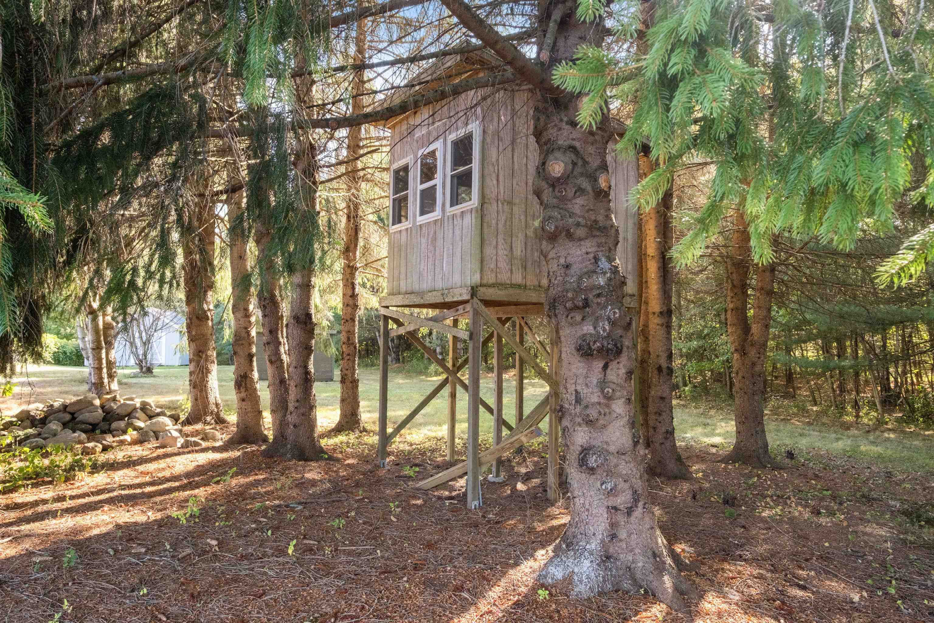 Tree House