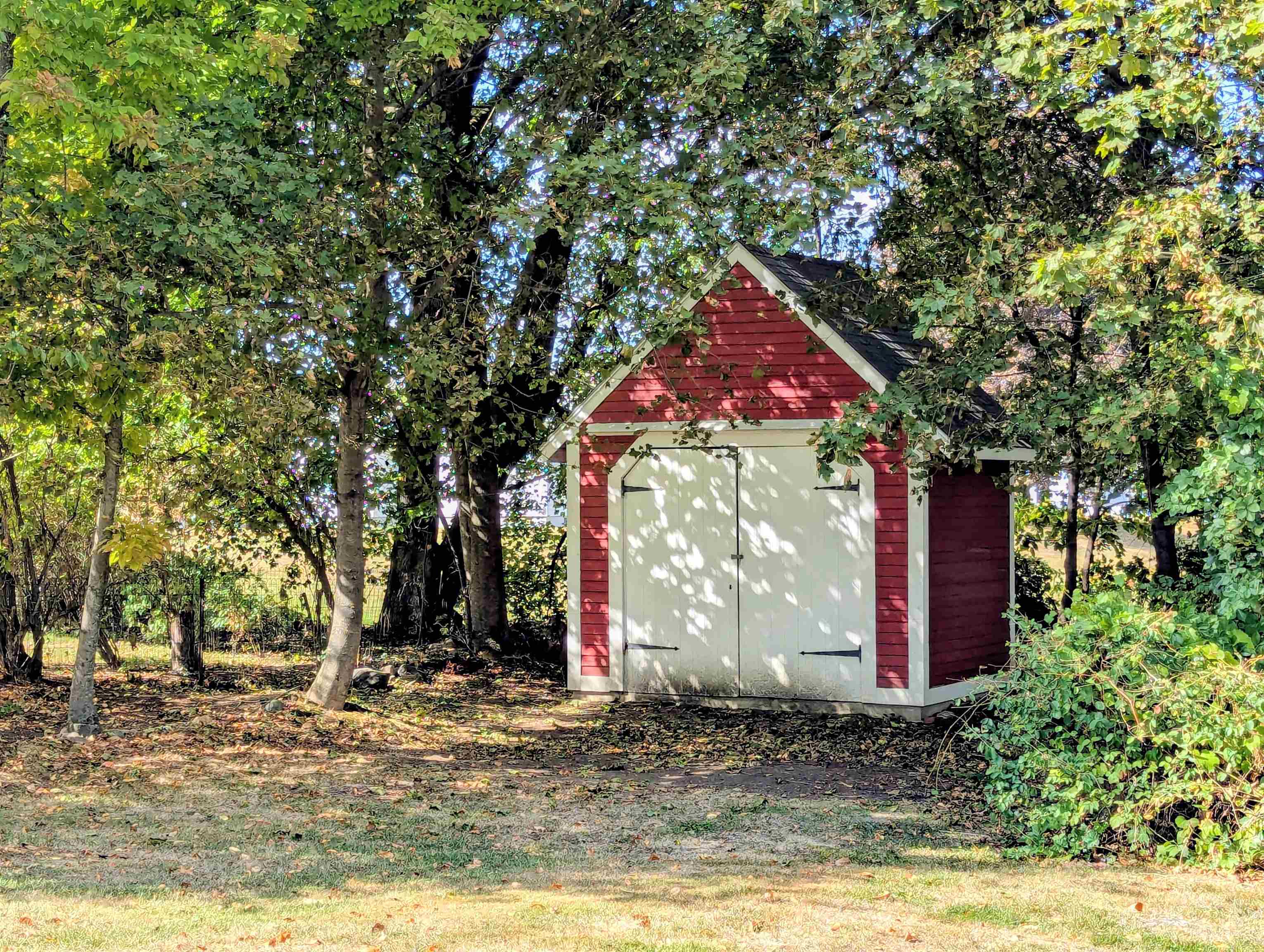 Lg Shed with upper storage