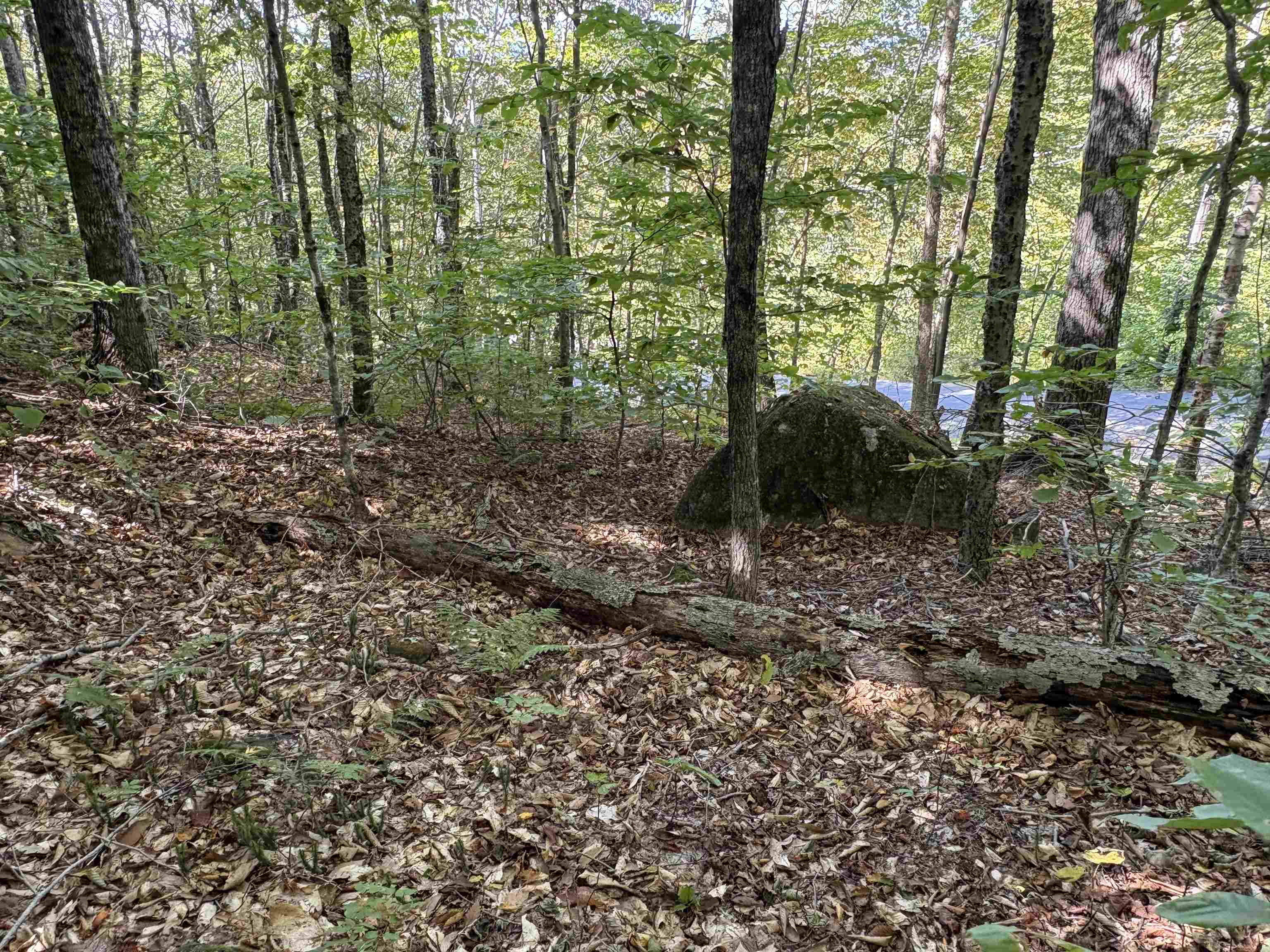 MLS #5061187 image #5