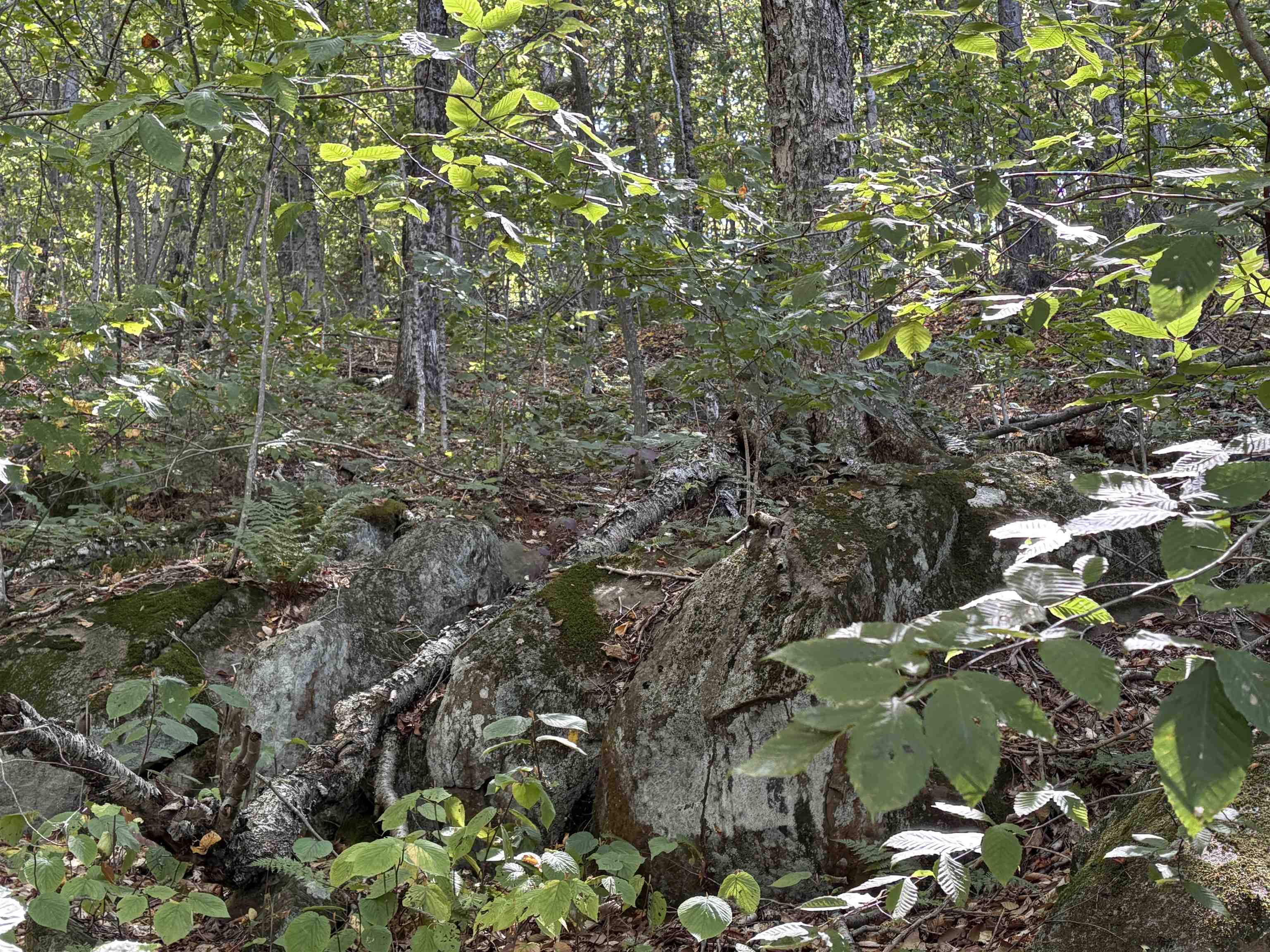 MLS #5061187 image #7