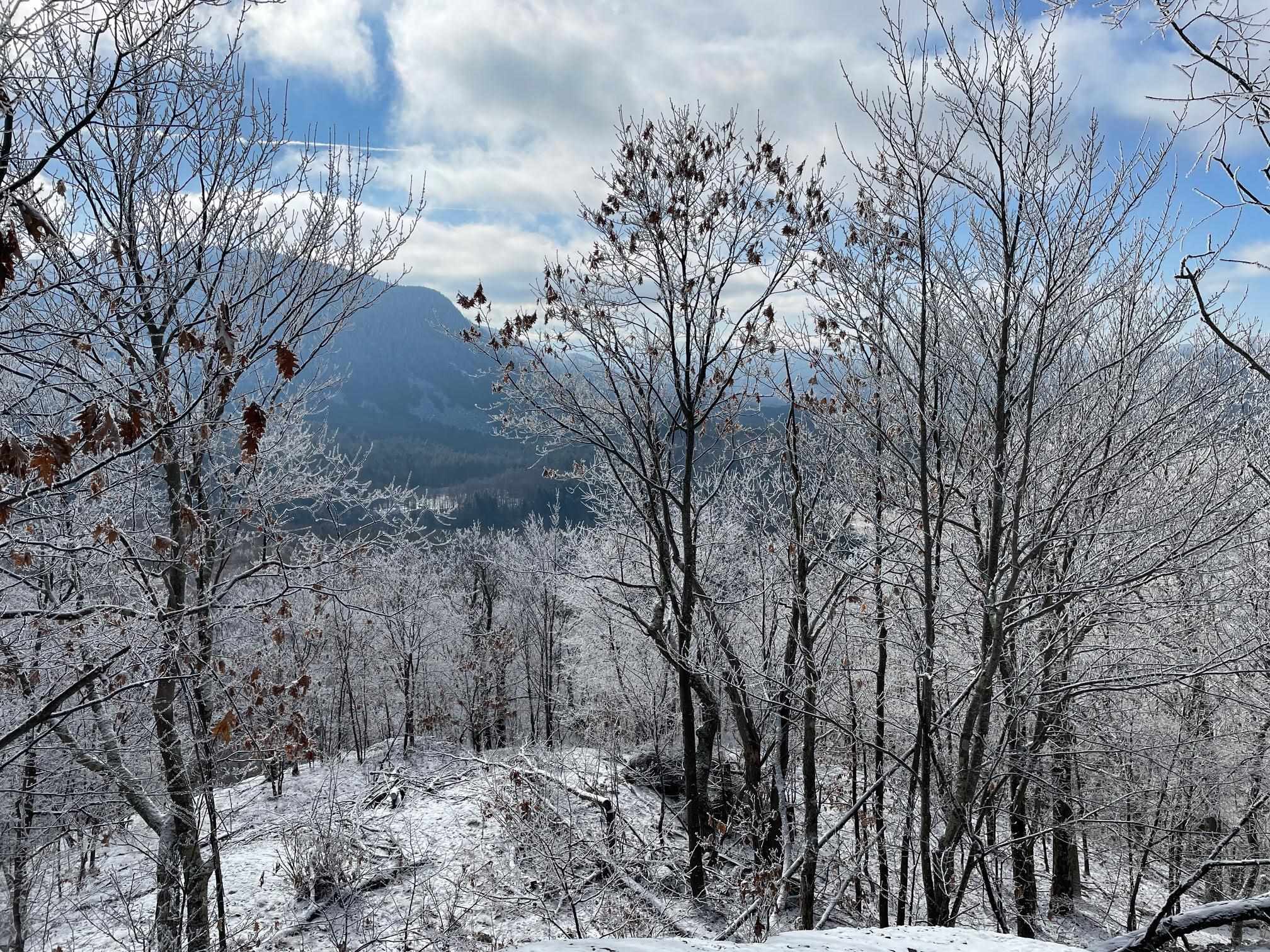Stunning mountain views in all seasons