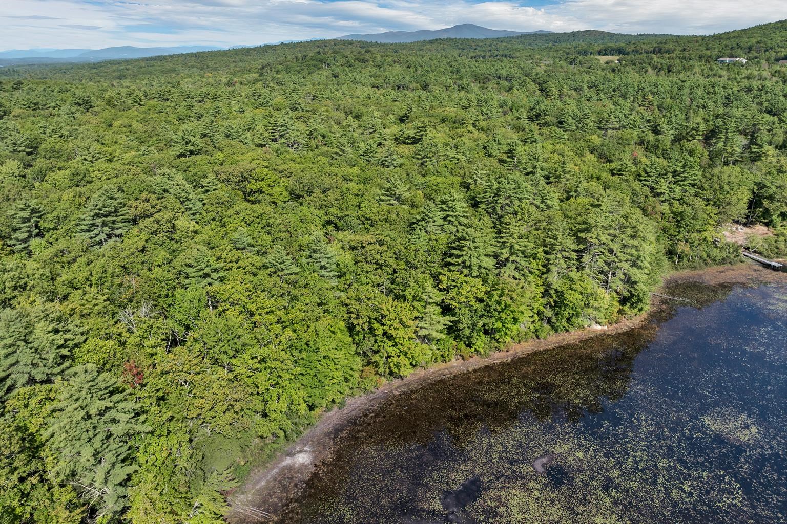 MLS #5061293 image #13