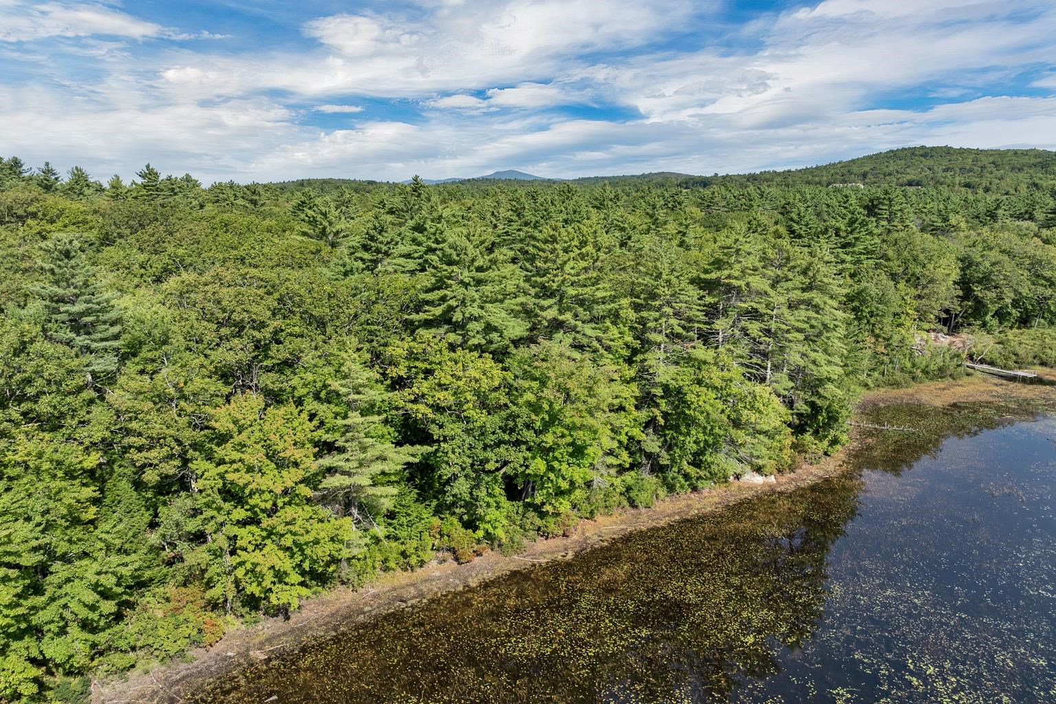 MLS #5061293 image #14