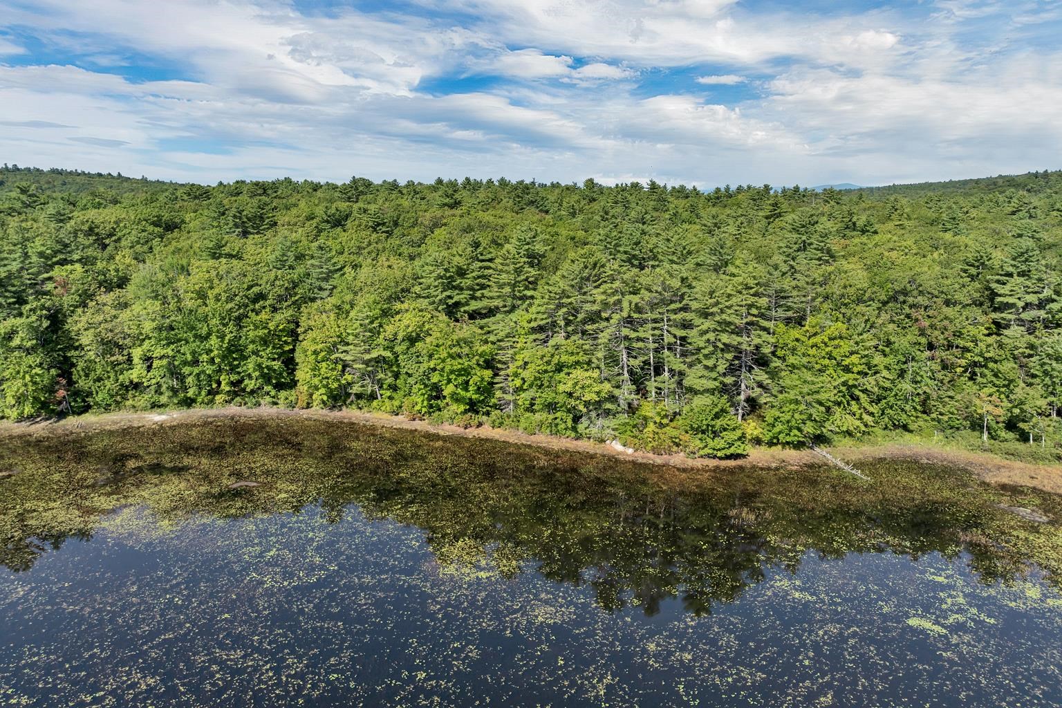 MLS #5061293 image #3