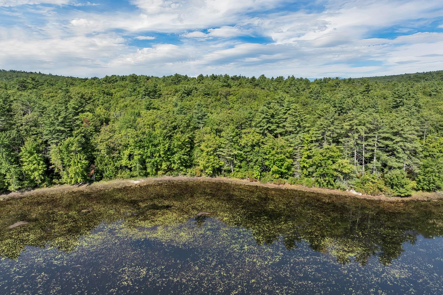 MLS #5061293 image #7