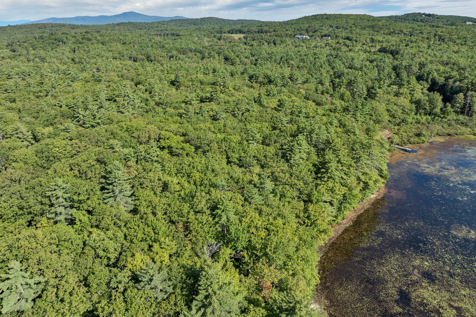 MLS #5061293 image #9