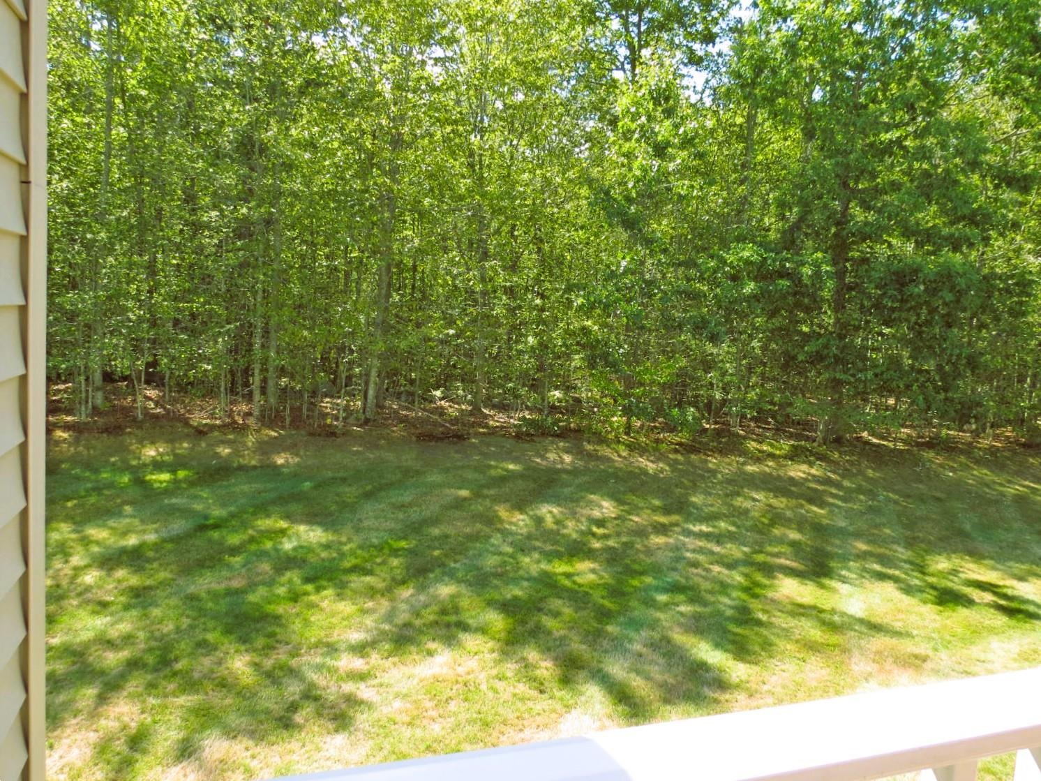 Photo 19 of 60