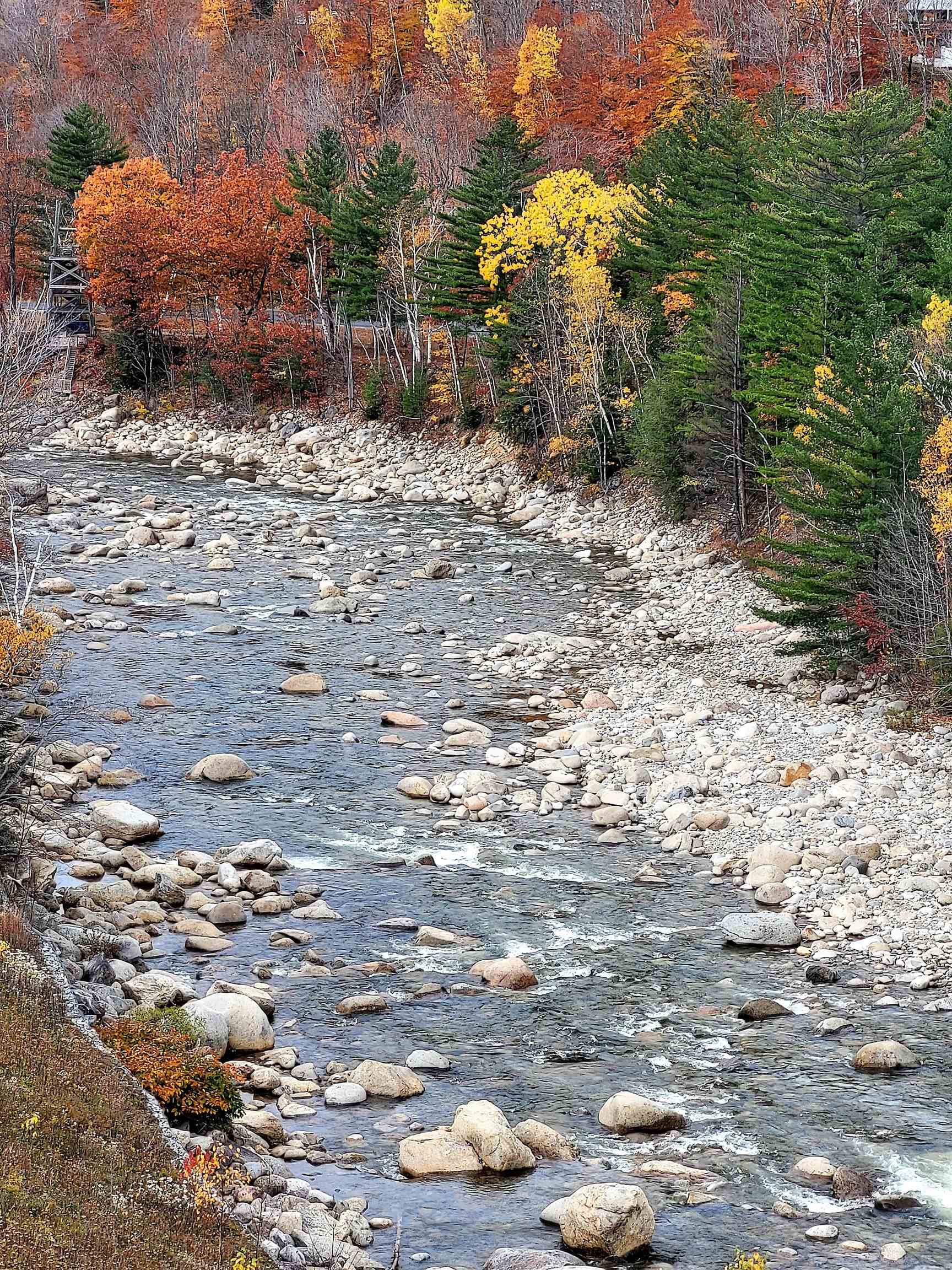 MLS #5061371 image #30