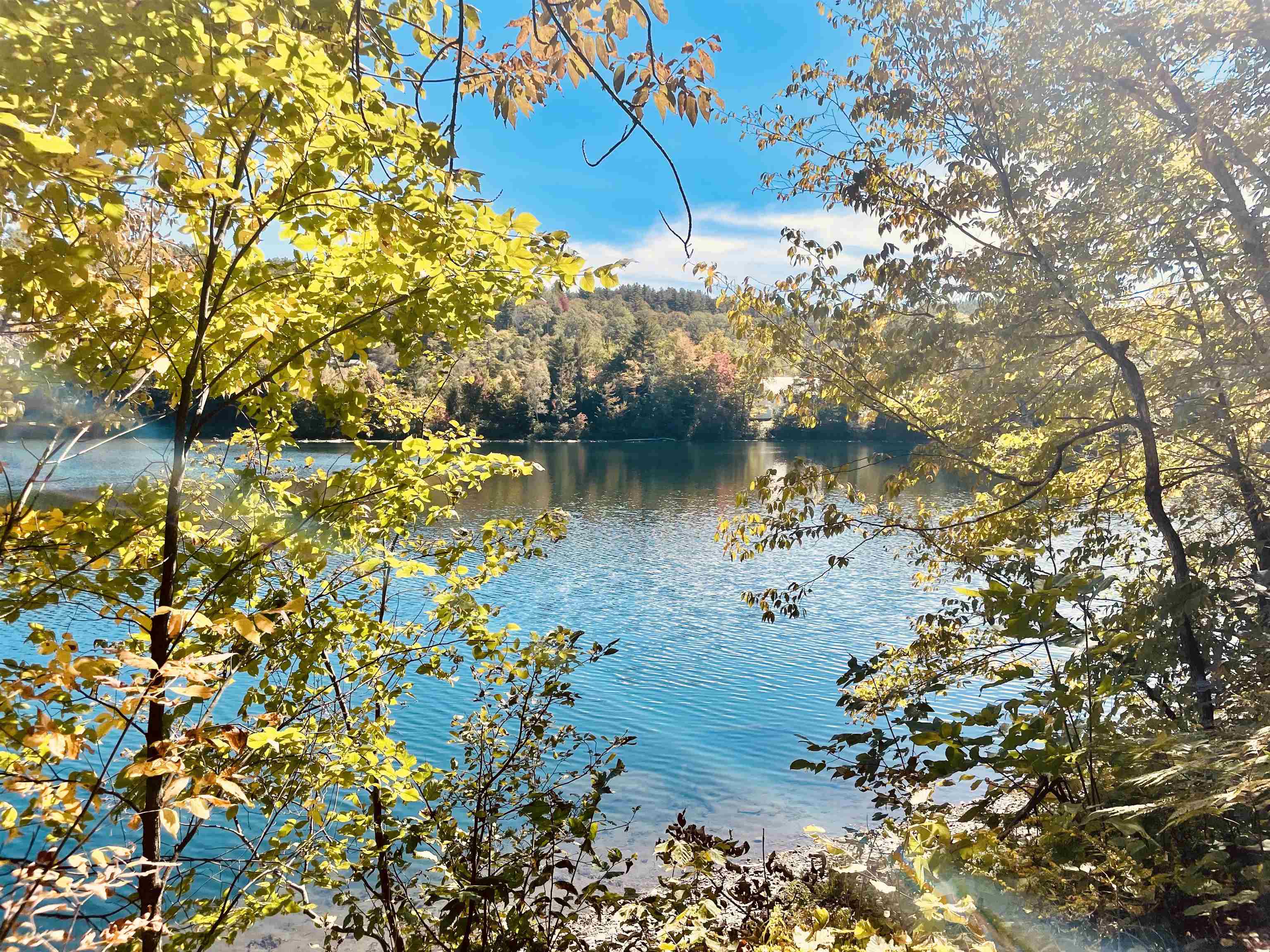 15 min walk to Mirror Lake (No.10 Pond)!