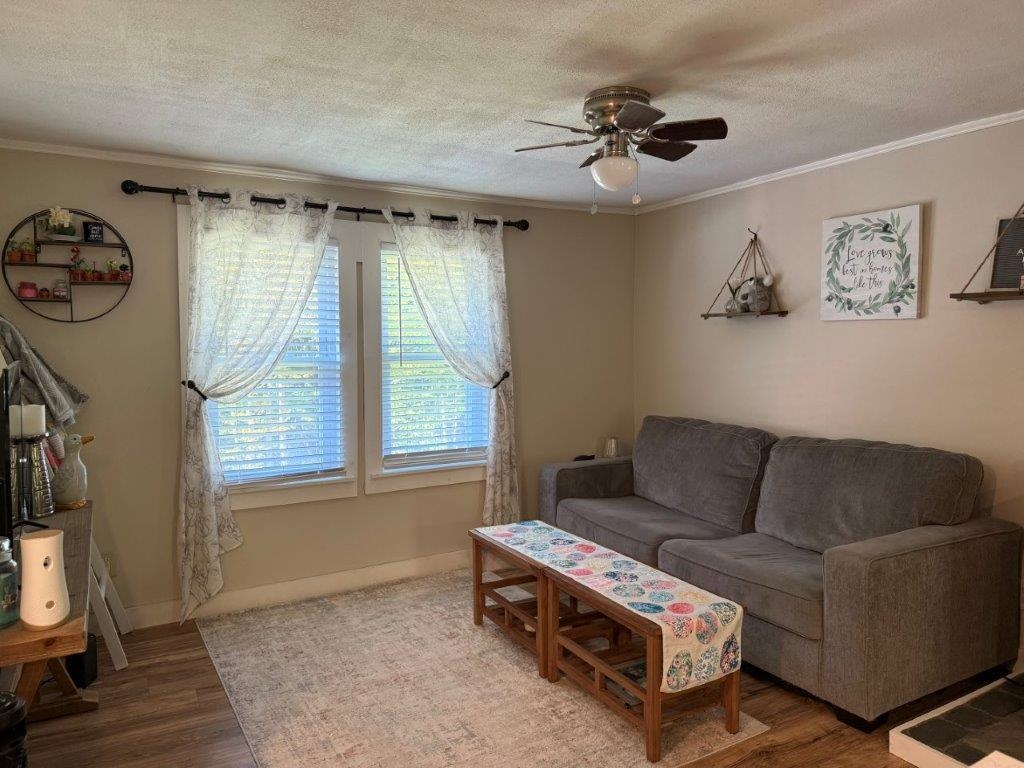Living Room 24046554