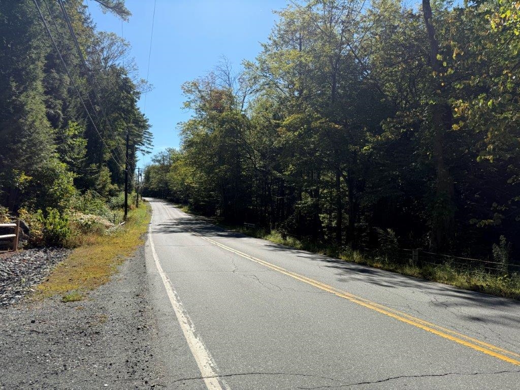 Paved Public Road 24046599