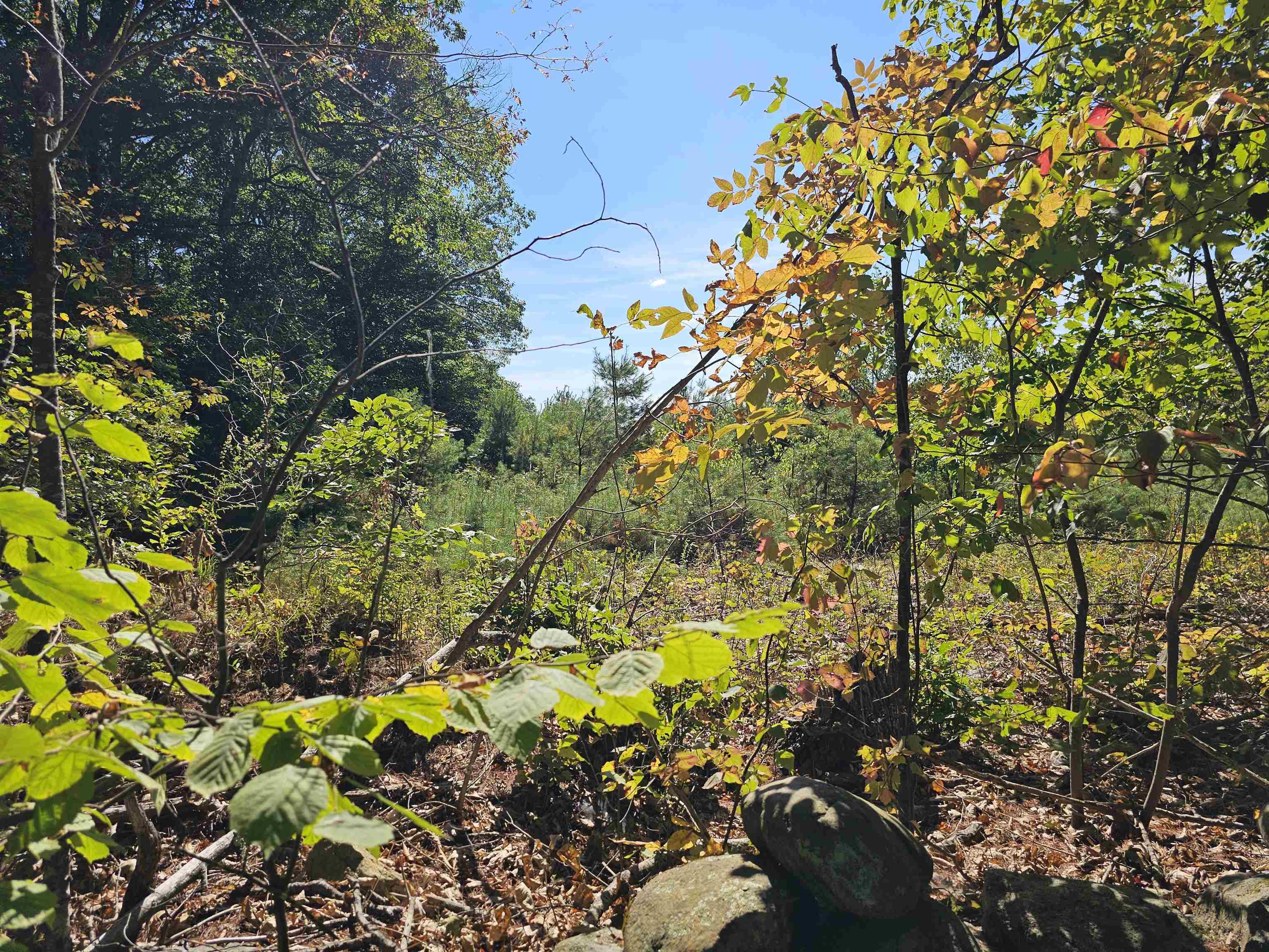 MLS #5061438 image #21