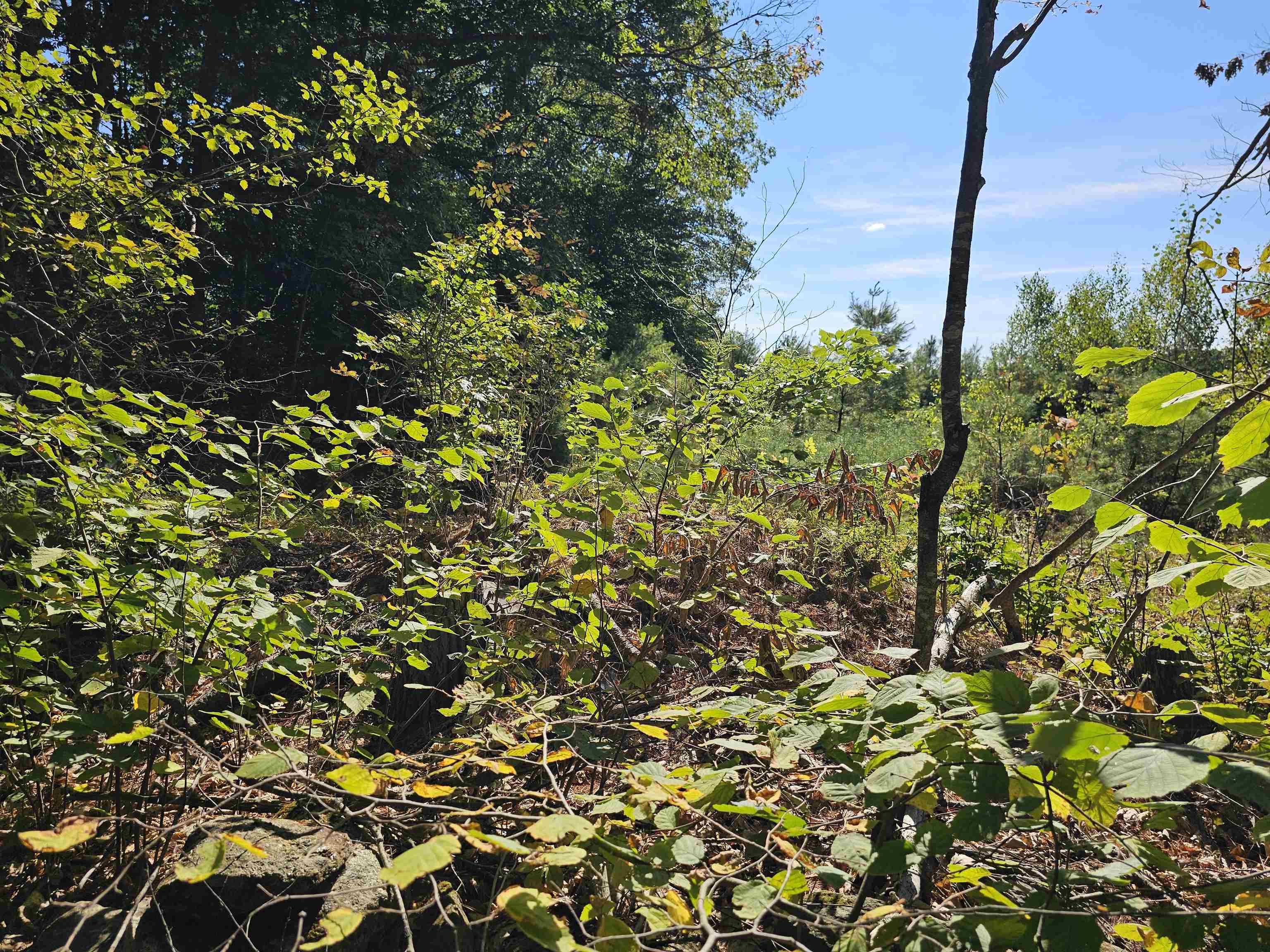 MLS #5061438 image #24