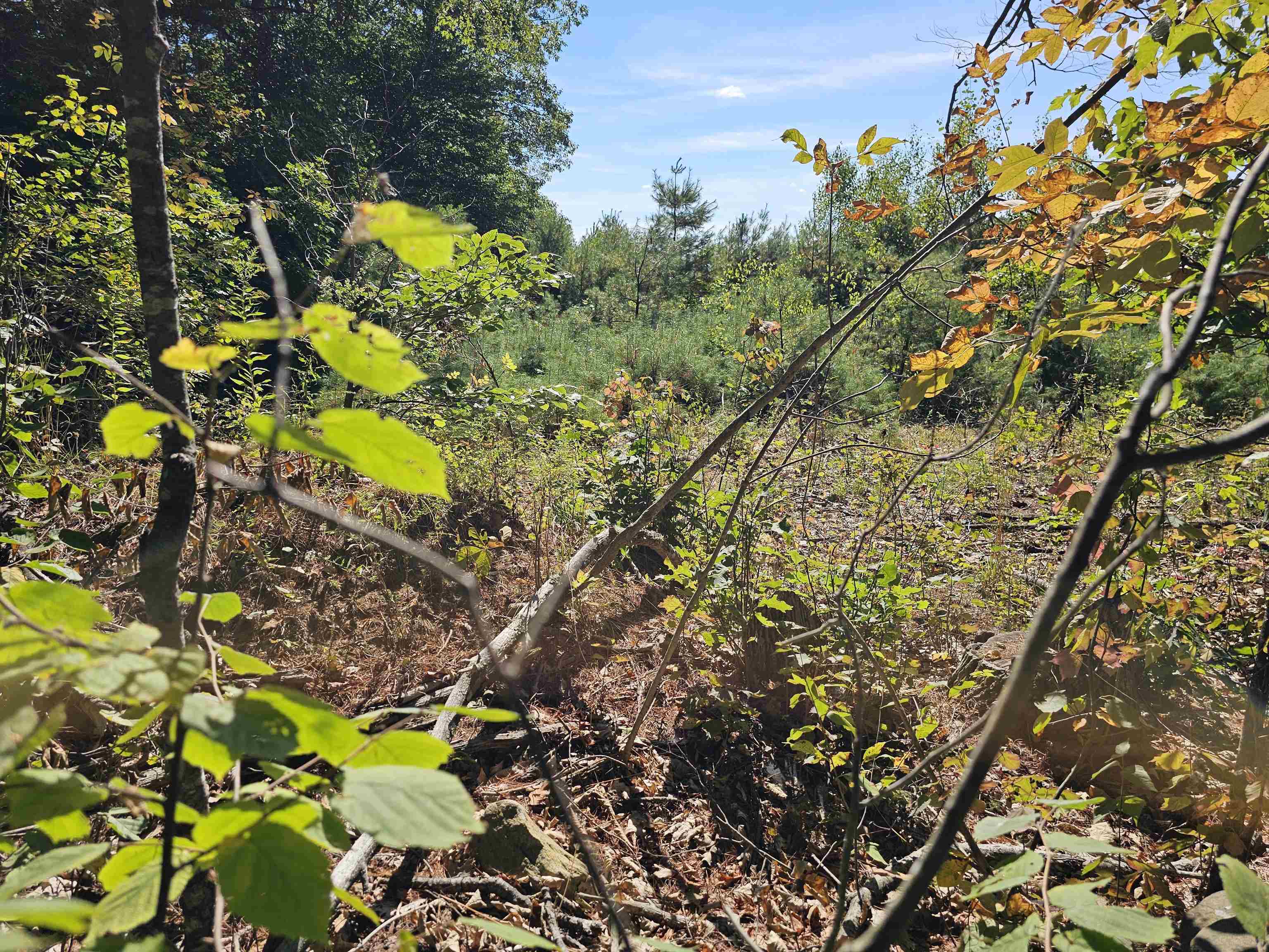 MLS #5061438 image #26