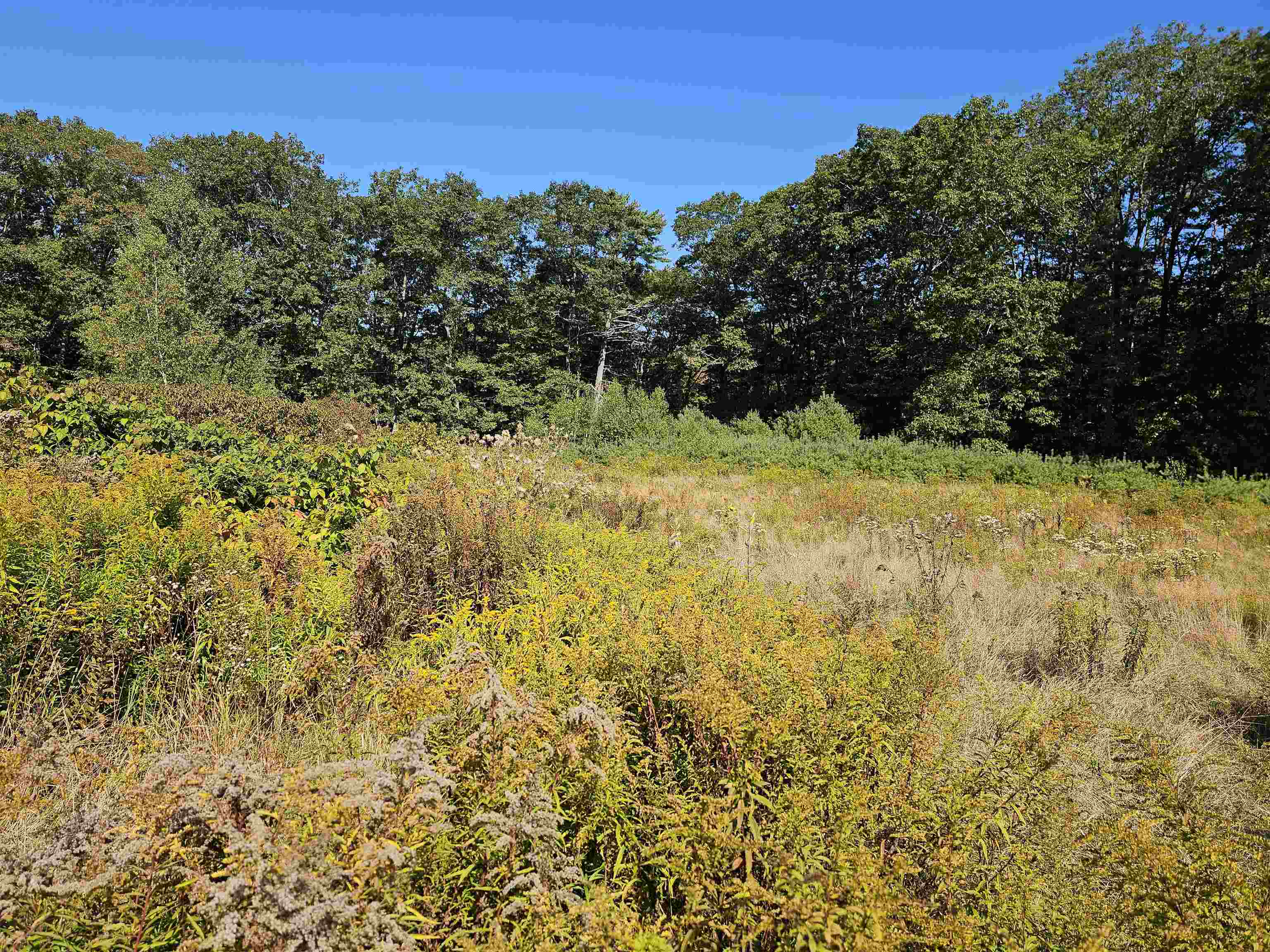 MLS #5061438 image #3