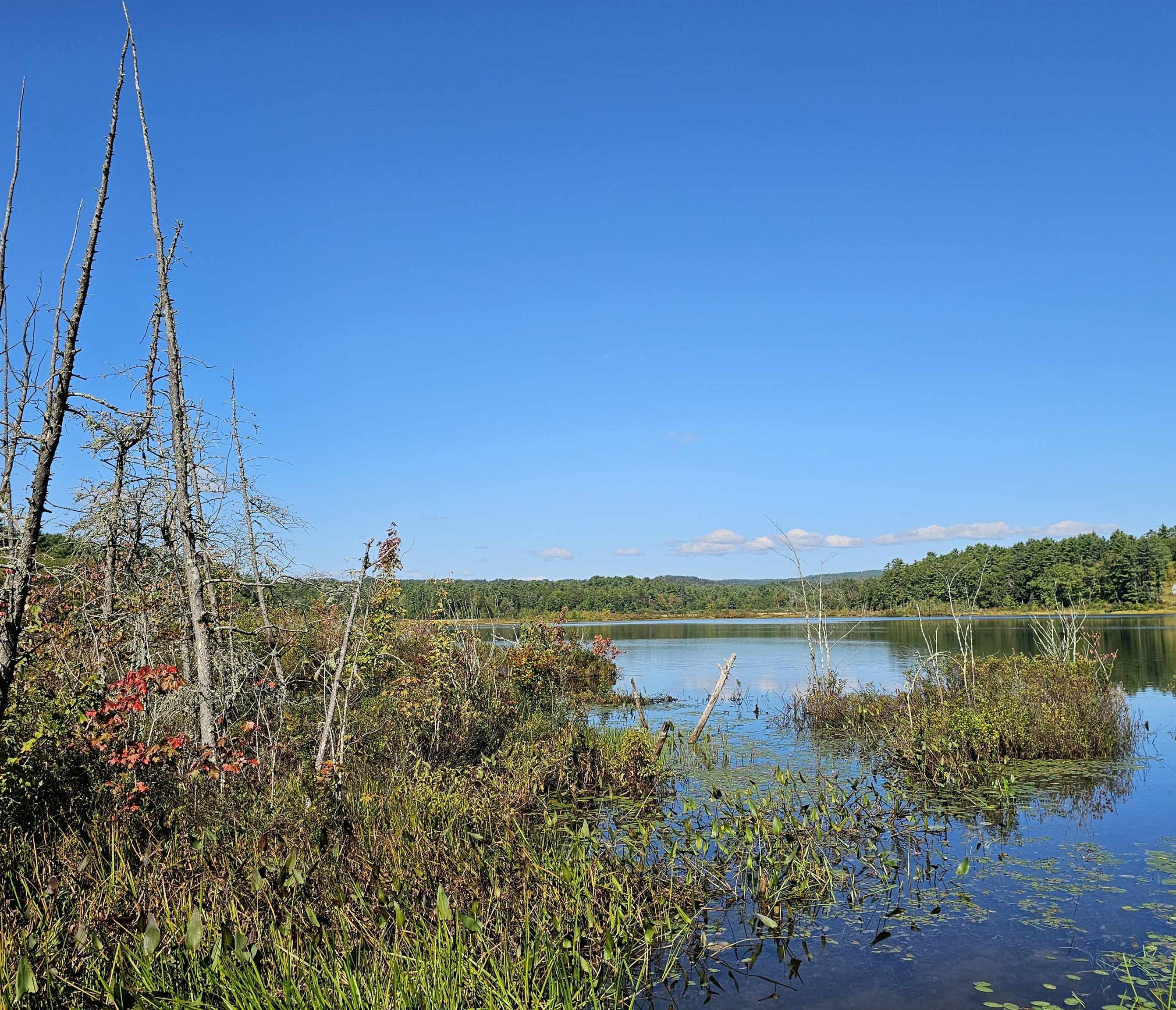 MLS #5061438 image #33