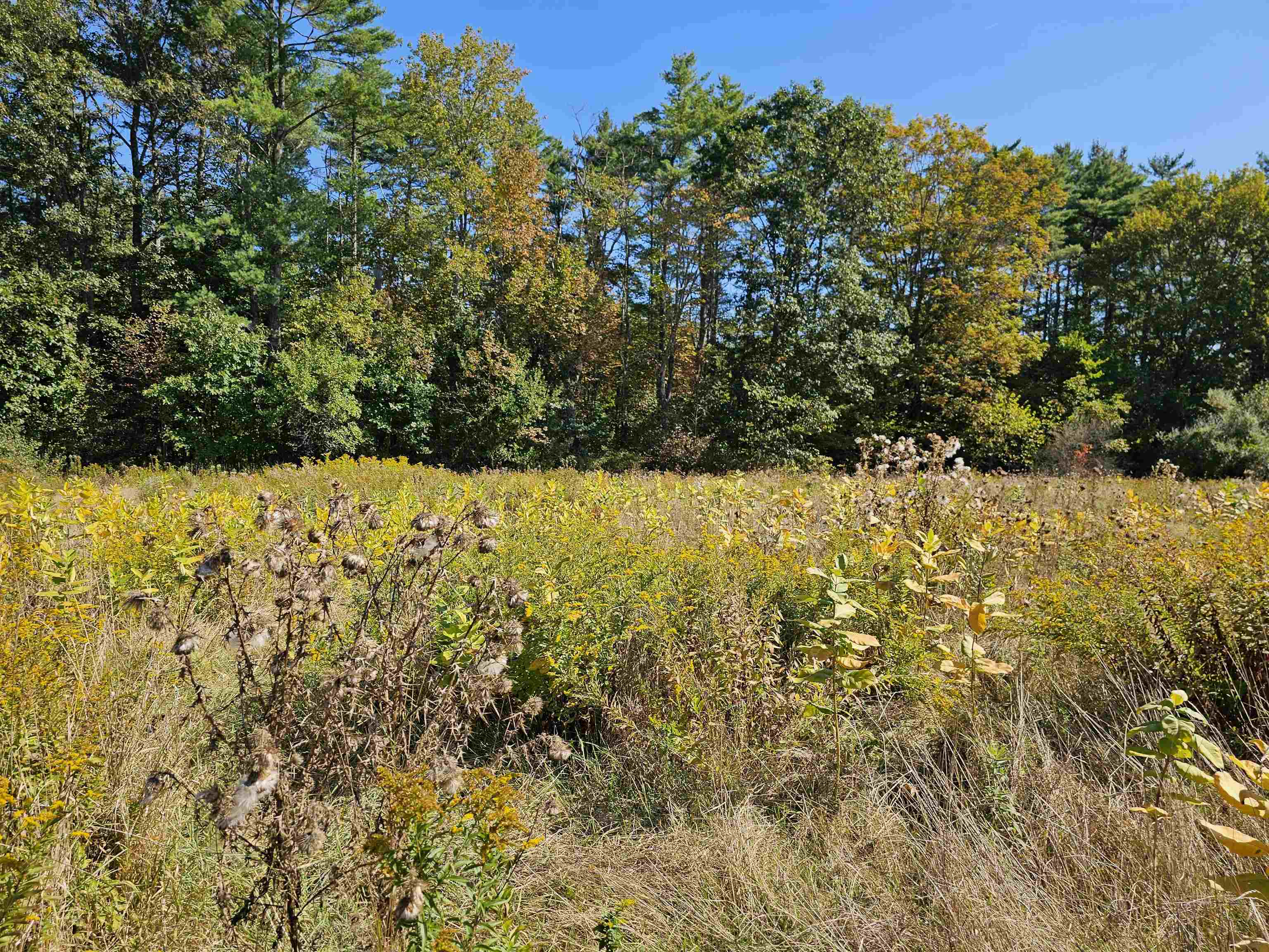 MLS #5061438 image #5