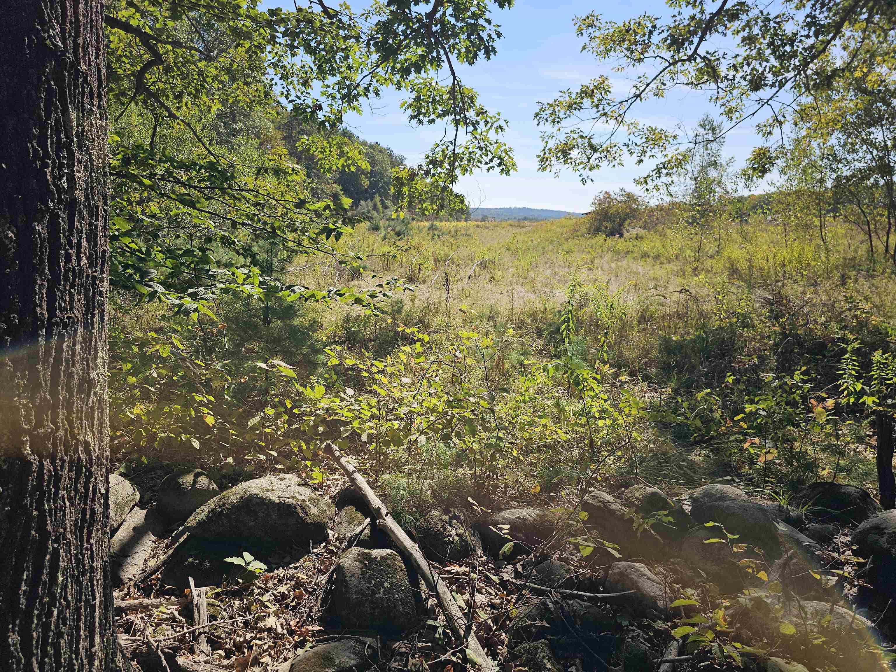 MLS #5061438 image #8