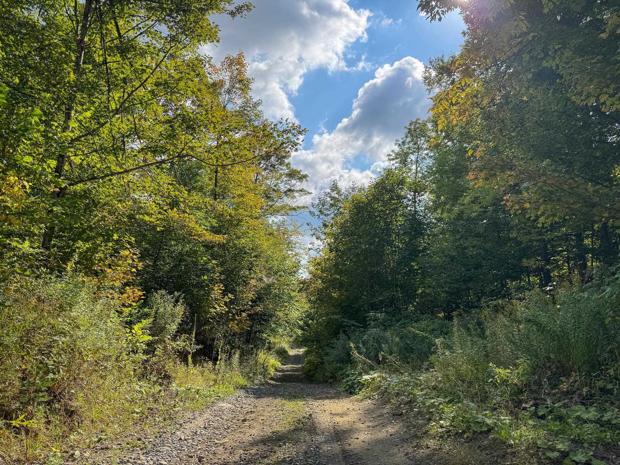 Topsham VT Land for sale $60,000 | 29.8 Acres  | Price Per Acre $0 