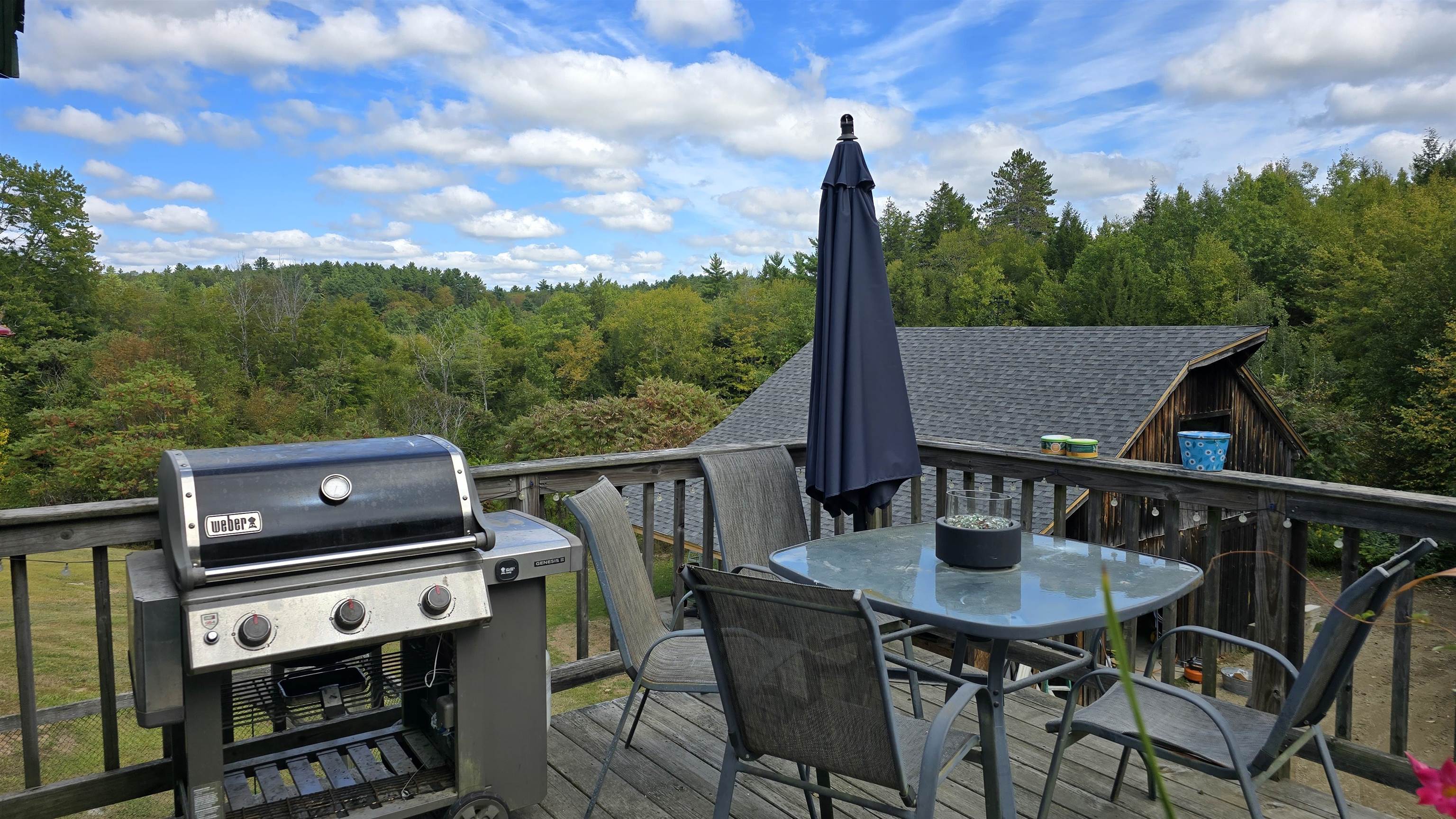 Back Deck/Overlooking back Property