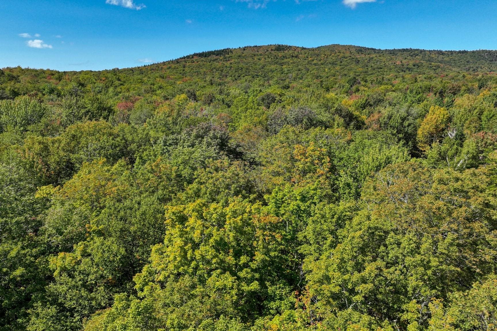 LUDLOW VT Land / Acres for sale