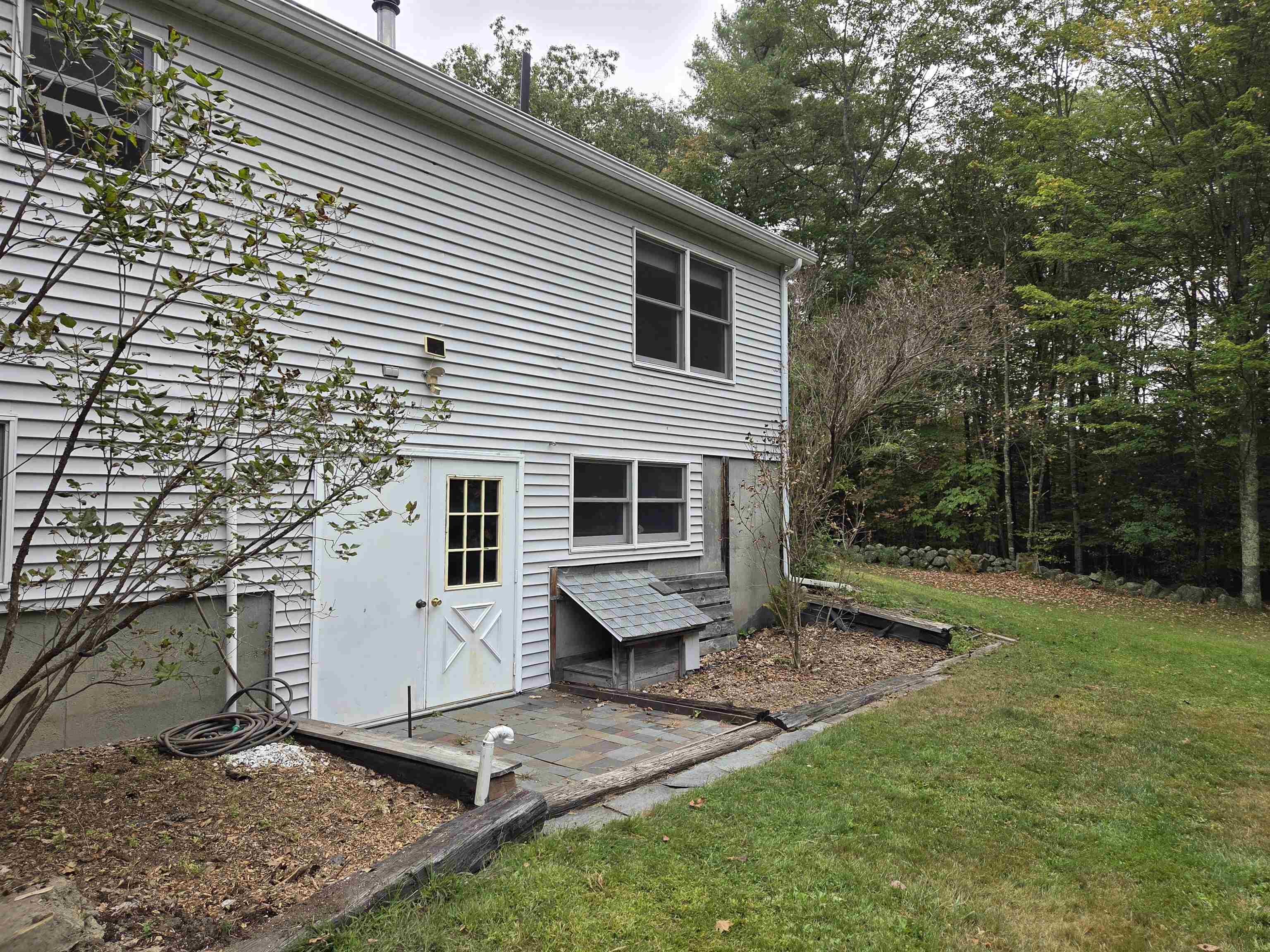 Rear Of House/Walkout Baseement