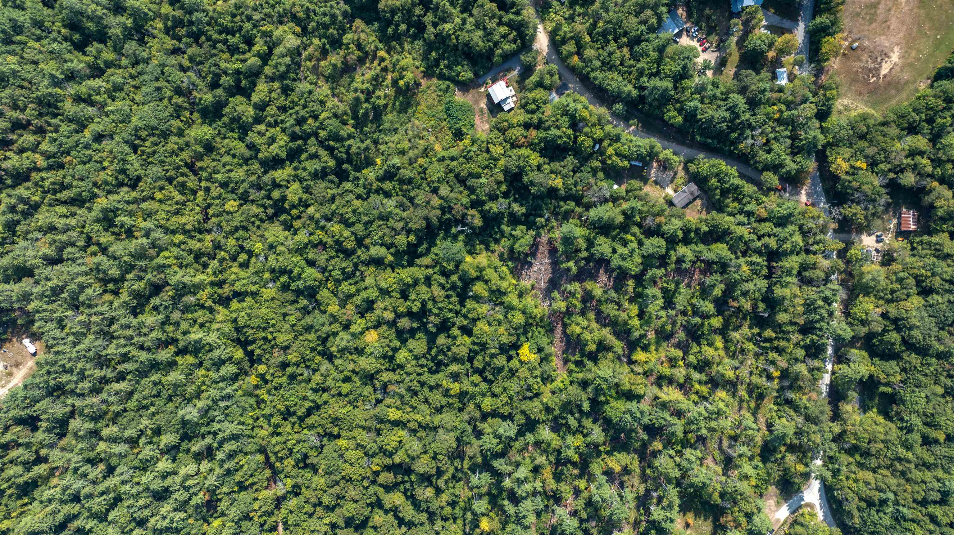 MLS #5061744 image #26