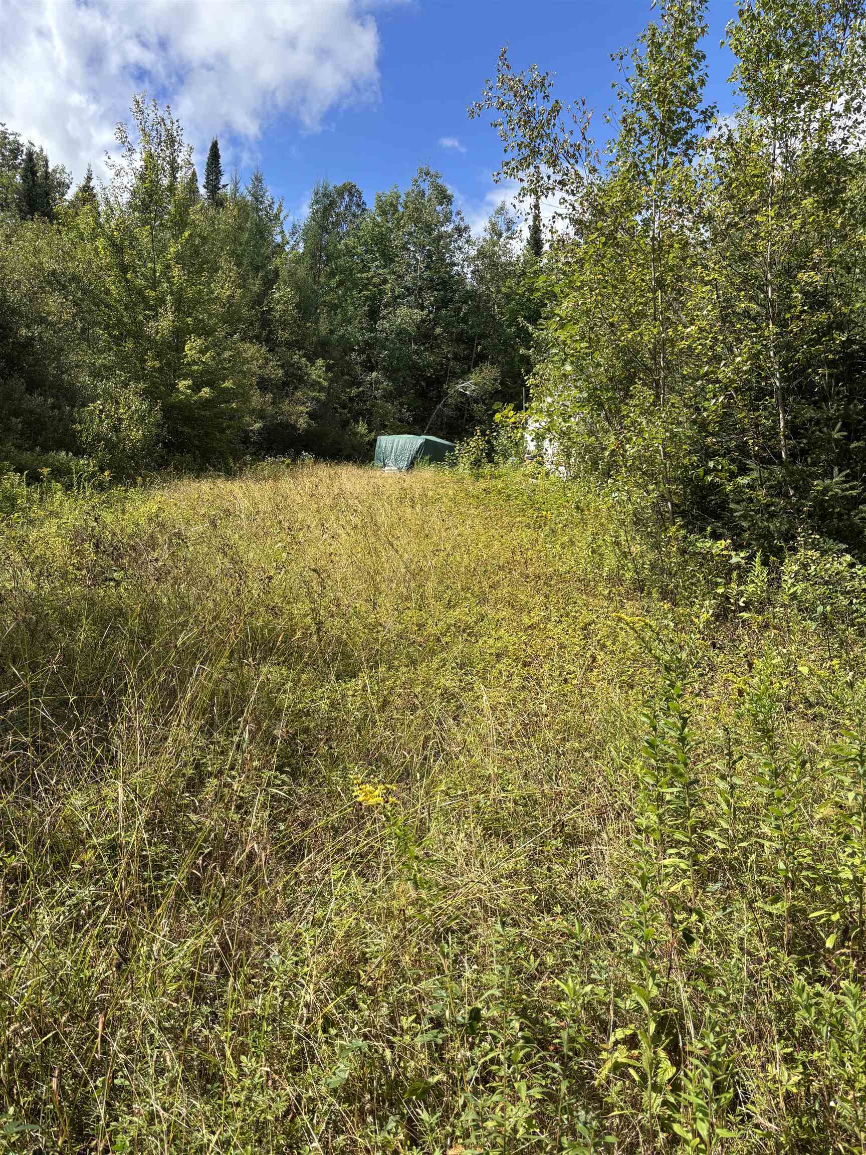 View of lawn area