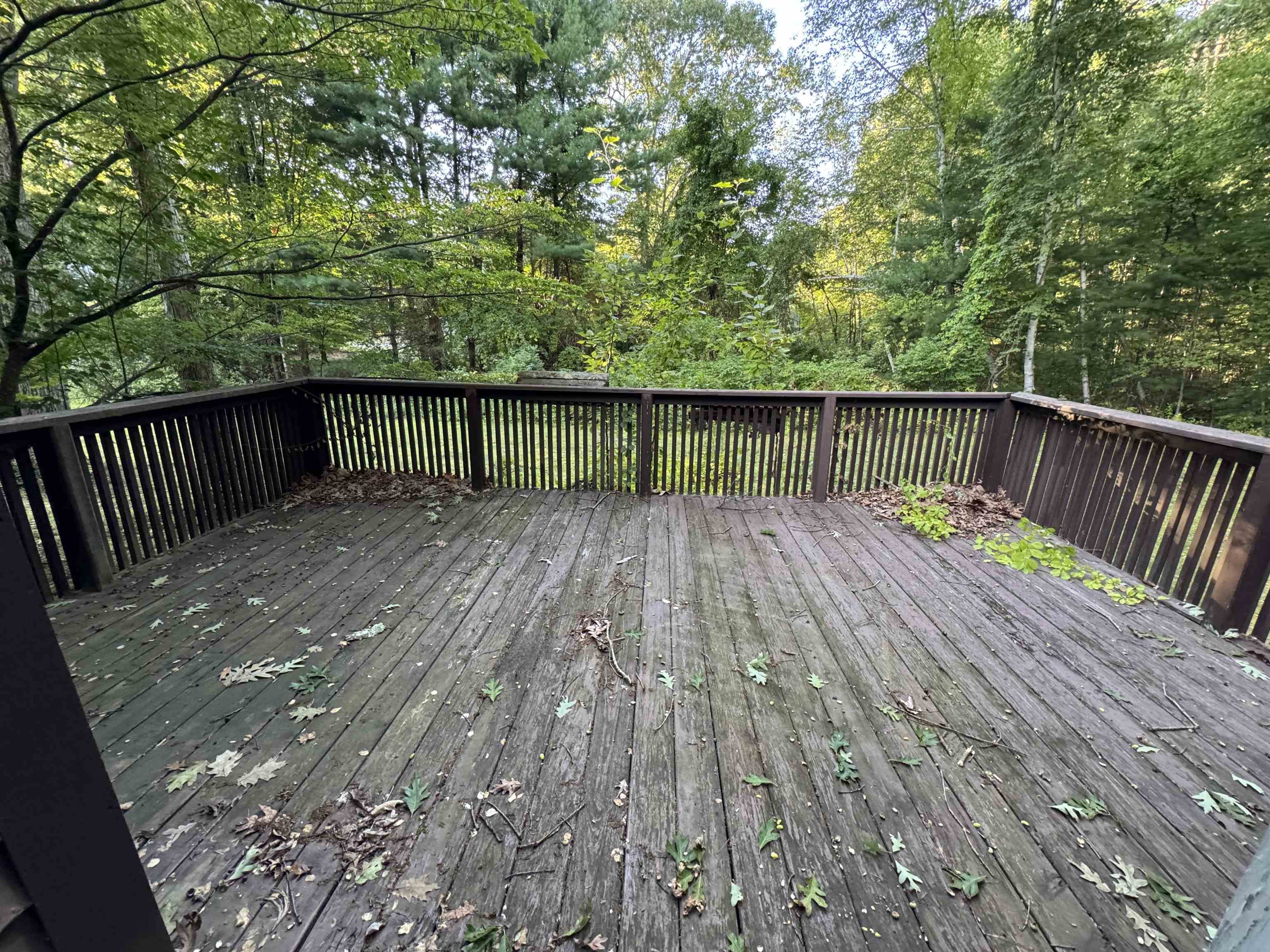 Photo 18 of 24