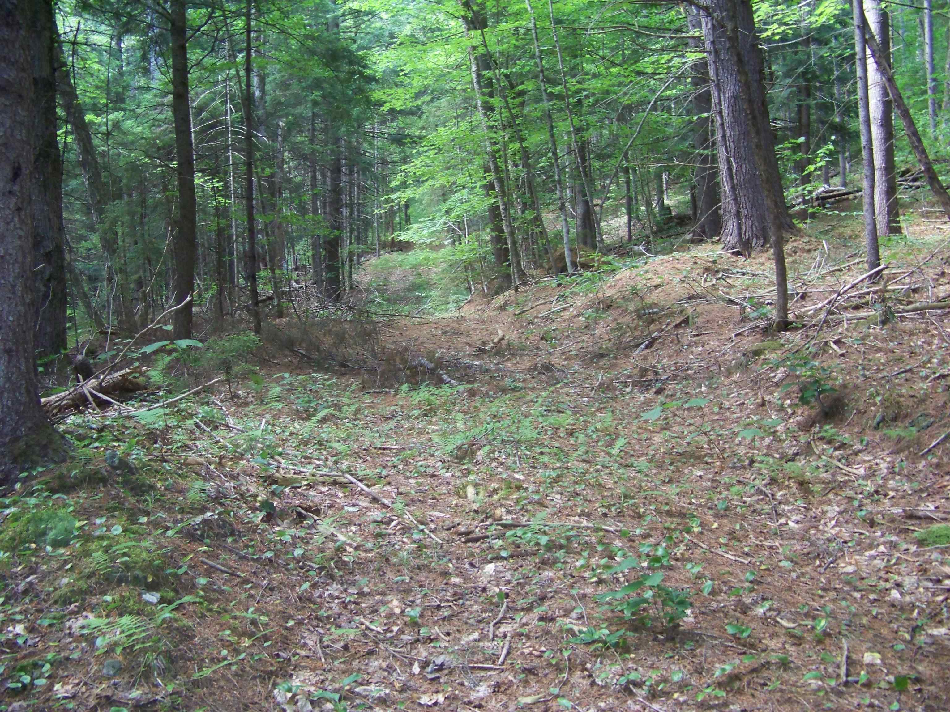 Rochester VT Land for sale $59,000 | 3.15 Acres  | Price Per Acre $0 