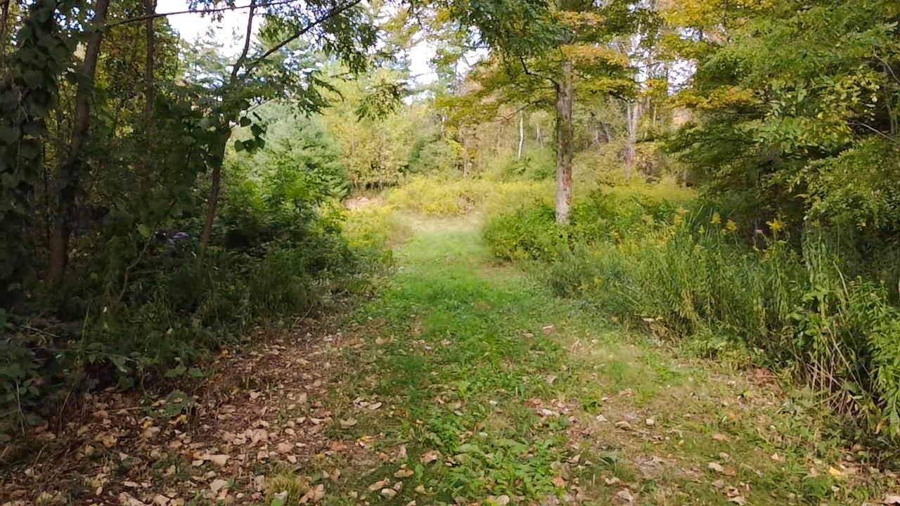 Bennington VT Land for sale $120,000 | 20 Acres  | Price Per Acre $0 