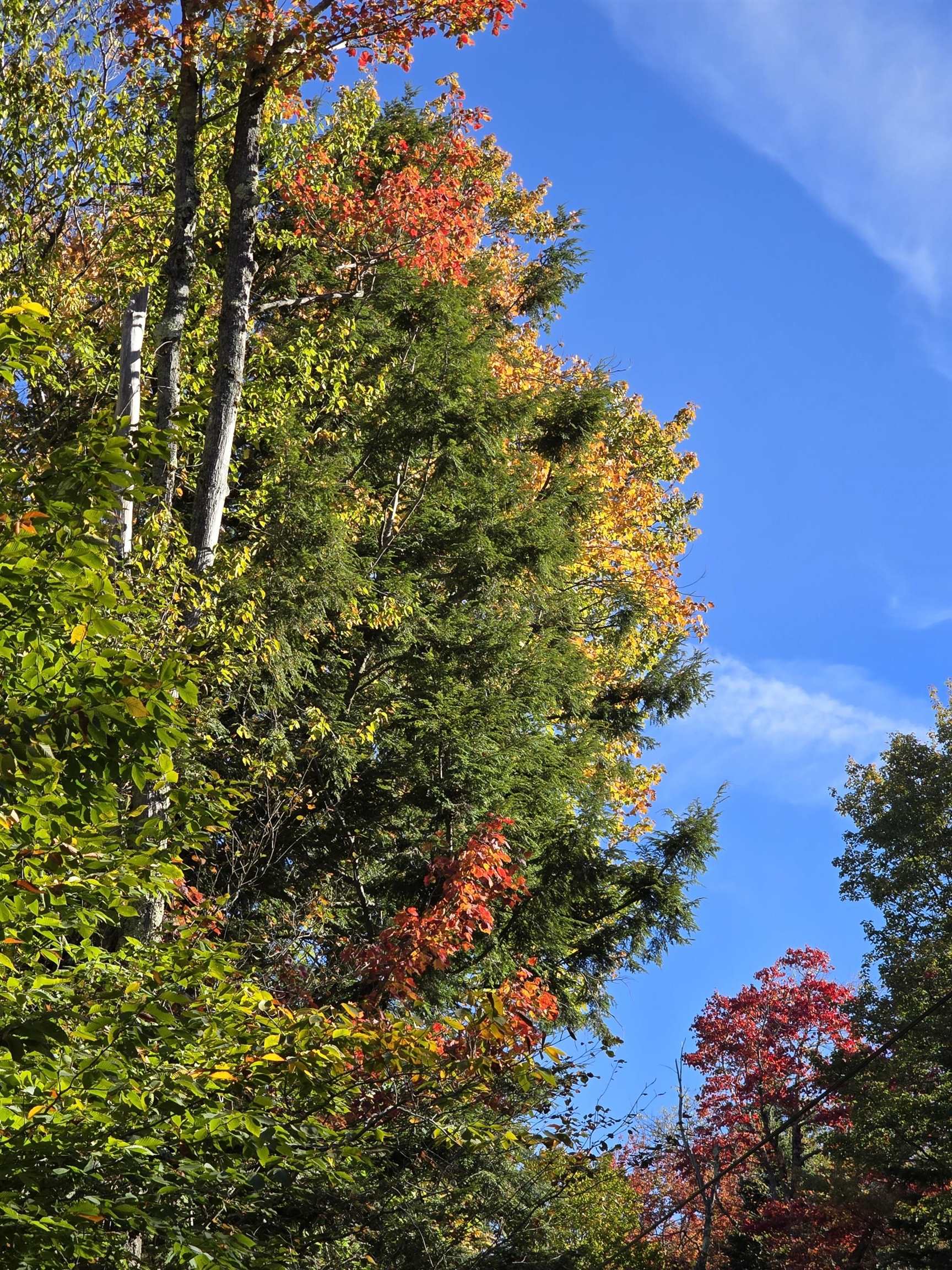 Stamford VT Land for sale $130,000 | 46.89 Acres  | Price Per Acre $0  | Total Lots 2