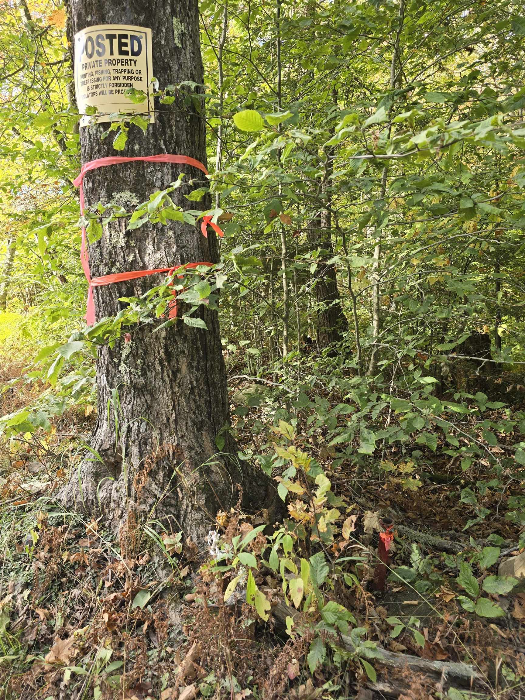 lower boundary marked, pin visible