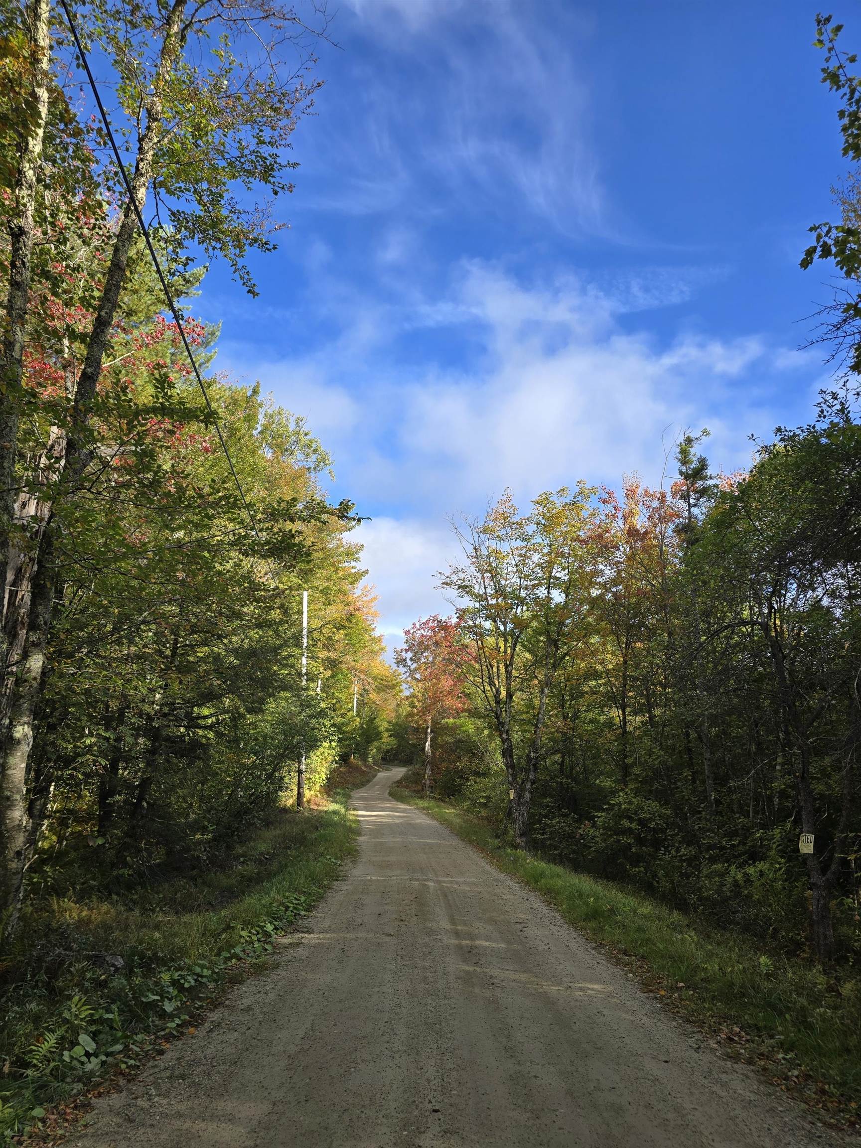 road looking south