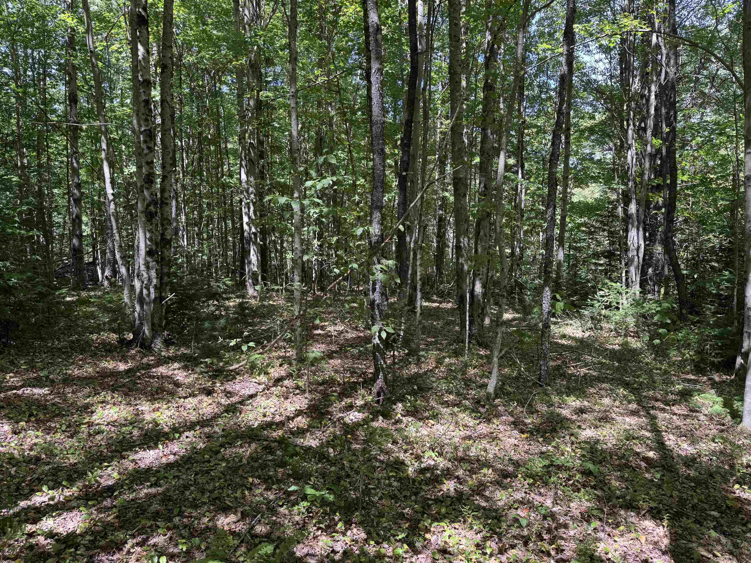 Homes for sale in Whitingham, VT | 00 Lake Hill Rd, Whitingham, VT 05361 | MLS# 5062096