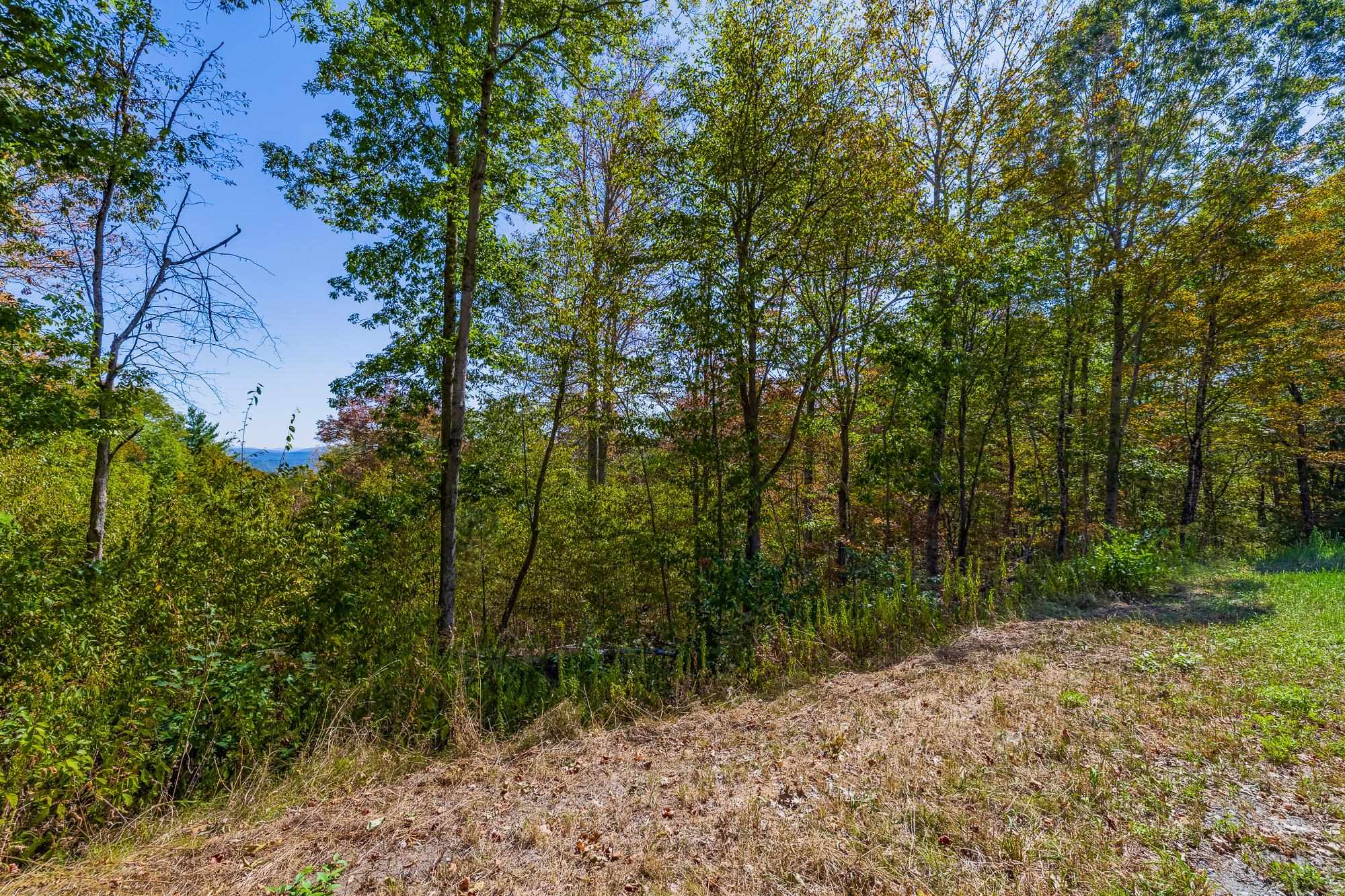 Village of Quechee in Town of Hartford VT Land for sale $299,000 | 3.05 Acres  | Price Per Acre $0  | Total Lots 26
