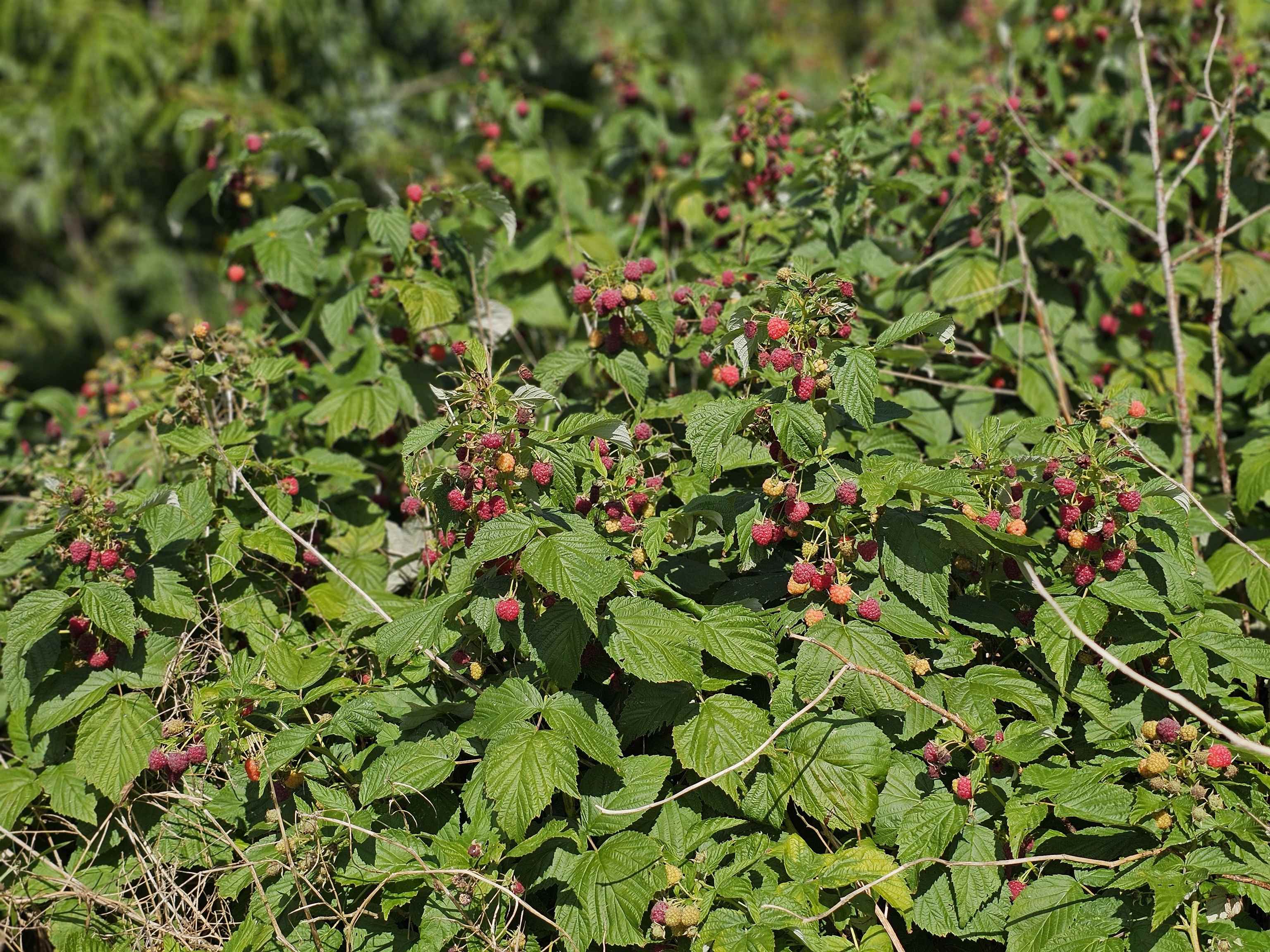 Homes for sale in Rockingham, VT | 2137 Brockway Mills Rd, Rockingham, VT 05101 | MLS# 5062211