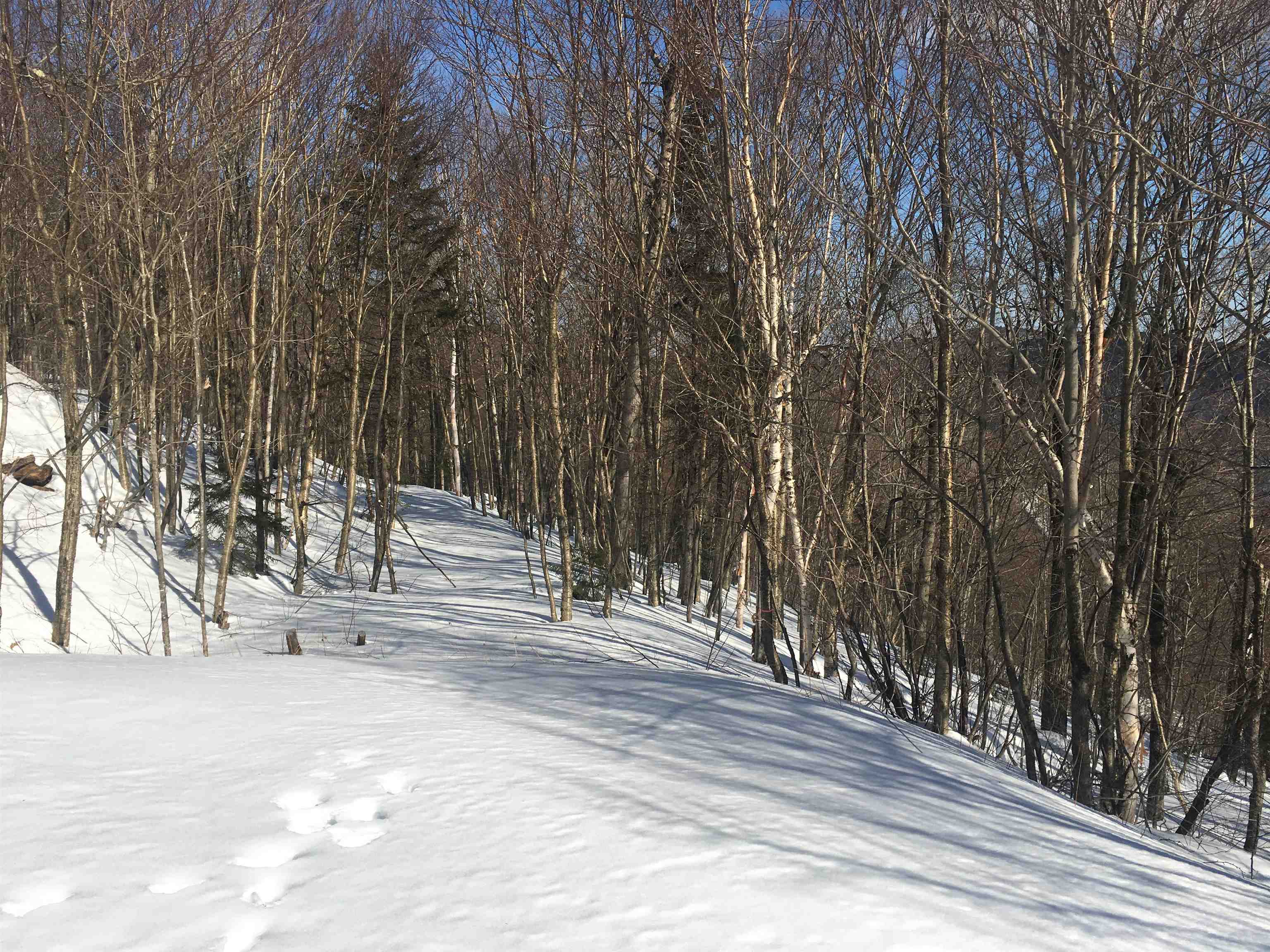Coolidge Lane in winter
