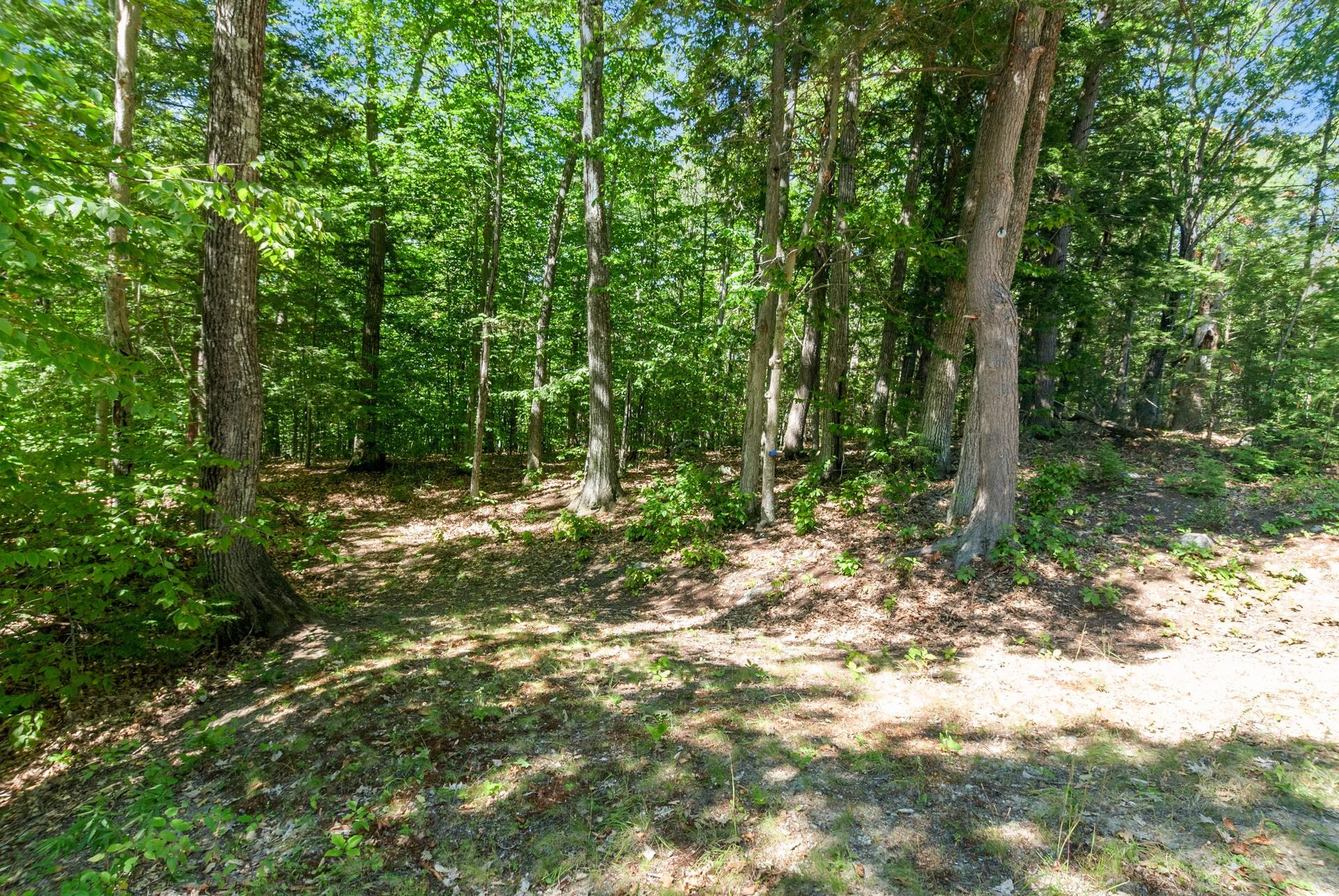 MLS #5062330 image #6